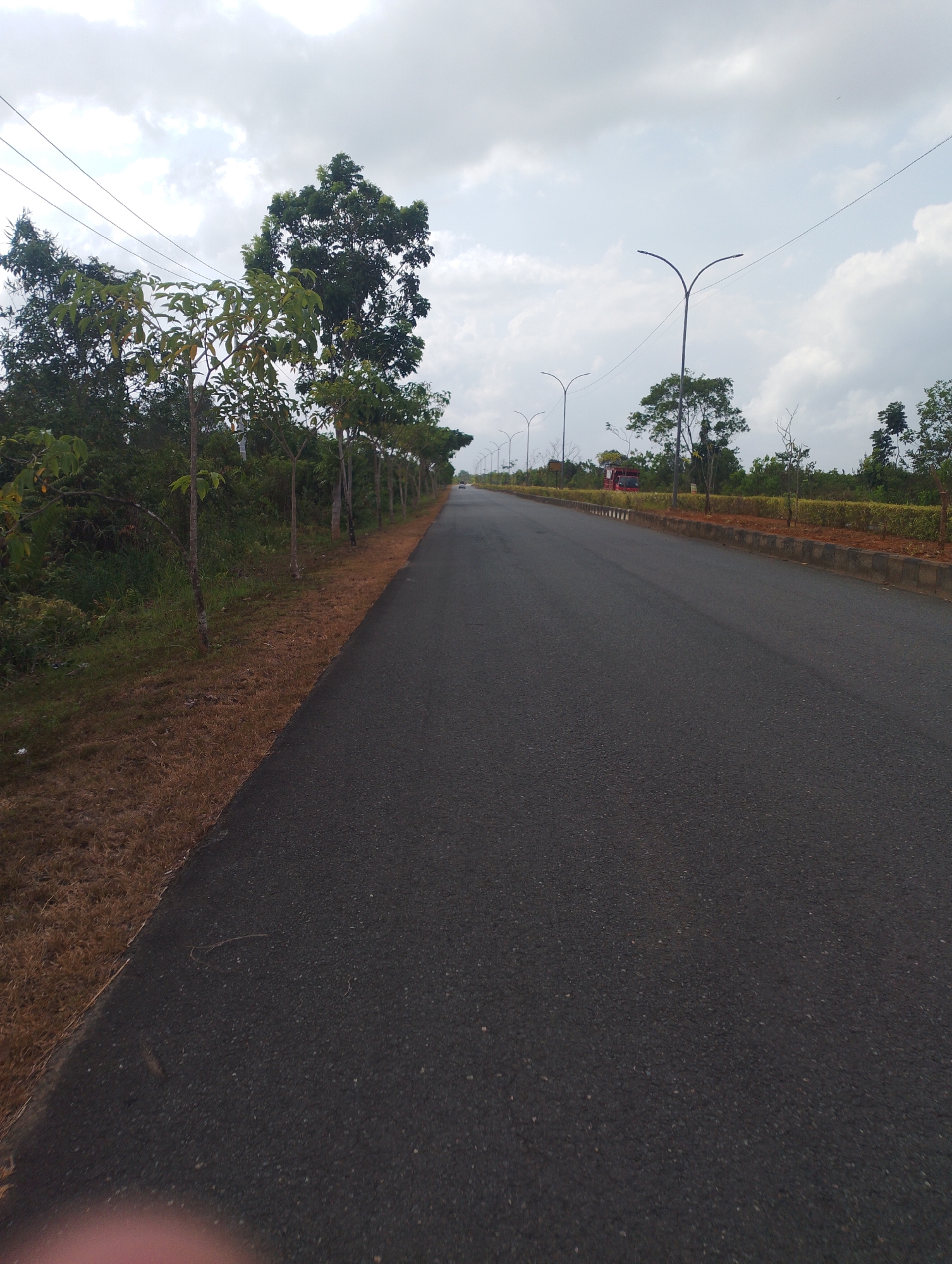 An image captured from a low angle shows an asphalt road with dry grass on the left side. The road curves slightly to the right and extends into the distance. A line of young trees planted along the roadside are visible on the left. In the background, there are streetlights and dense vegetation. The sky is overcast with clouds. The scene appears to be on the outskirts of Batulicin, Indonesia. No people are visible in the frame.