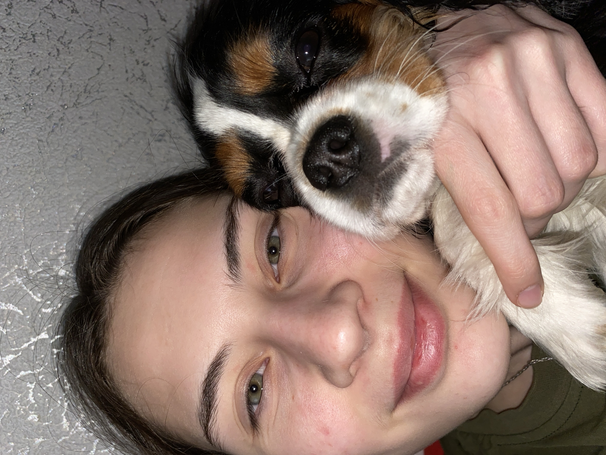 A close-up shot depicts a young woman holding a Cavalier King Charles Spaniel puppy to her face. The woman has fair skin, green eyes, and dark brown hair. The puppy has a tricolor coat (black, white, and tan) with a dark nose. The woman's hand is visible holding the puppy. The background is a textured, light grey surface. The location in the city of Votkinsk, Russia, cannot be determined from the provided image.