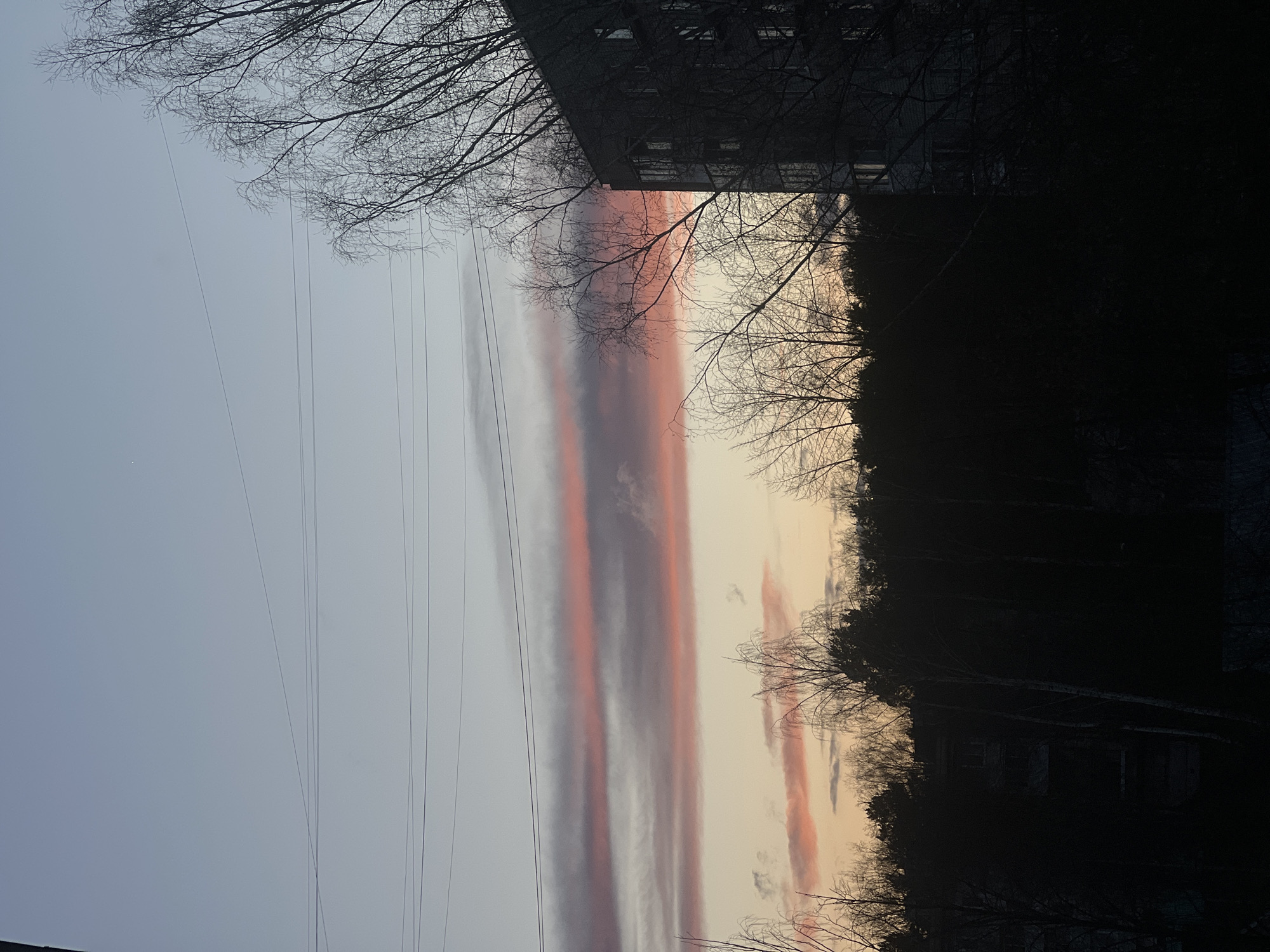 The image captures a twilight sky, likely sunset or sunrise, over a semi-urban landscape in Chaikovsky, Russia. The upper and central parts of the frame are dominated by a sky displaying long, horizontal cloud formations. These clouds feature a gradient of warm colors, ranging from vibrant pinks and oranges to deeper purples and grays, transitioning towards lighter blue and gray hues on the left.
Silhouetted against the luminous sky are numerous bare, deciduous tree branches, visible along the top edge, sparsely in the middle, and forming a dense, dark line along the horizon on the right. Several thin power lines stretch horizontally across the left and central sky.
In the upper right, a dark, multi-story building with visible windows is partially obscured by tree branches. The lower right portion of the image is a dark silhouette of trees and possibly another indistinct structure, blending into the evening shadows. No people or discernible activities are taking place. There is no visible text. The scene conveys a serene, almost somber atmosphere typical of late autumn or winter at dawn or dusk.