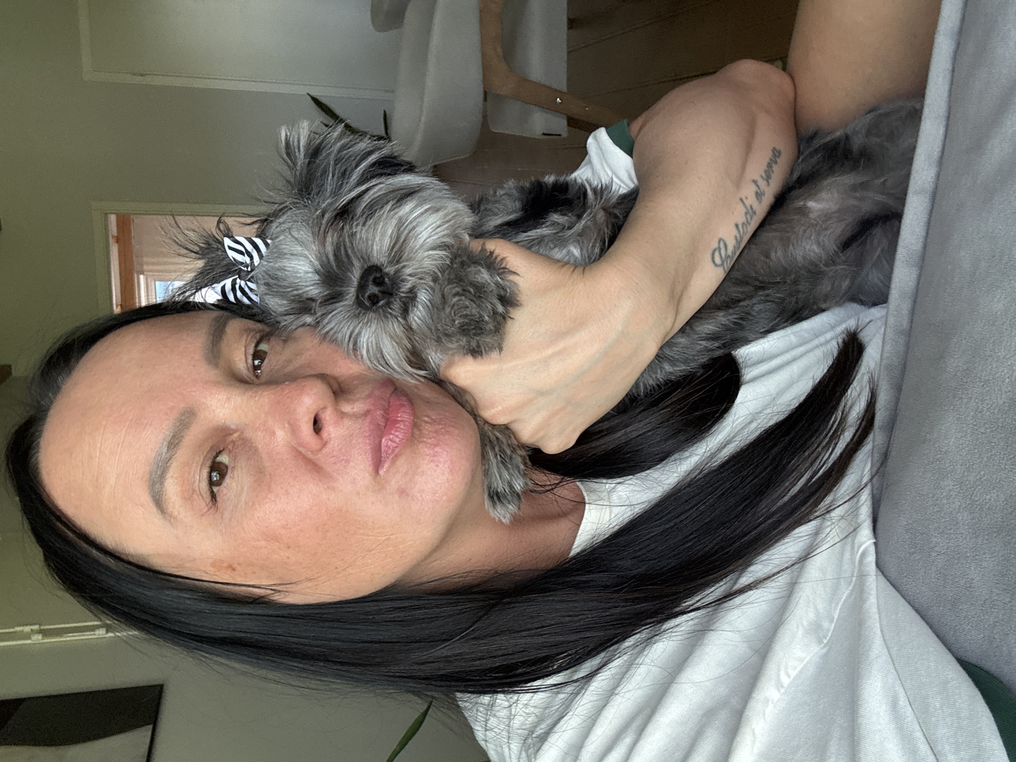 A woman with dark hair is holding a small gray dog with a black and white striped bow in its hair. The woman is wearing a white t-shirt. The woman has a tattoo on her right forearm that reads "Custodi el serro." The background includes a white chair and a window. The photo was taken indoors, possibly in Chaikovsky, Russia, based on inference.