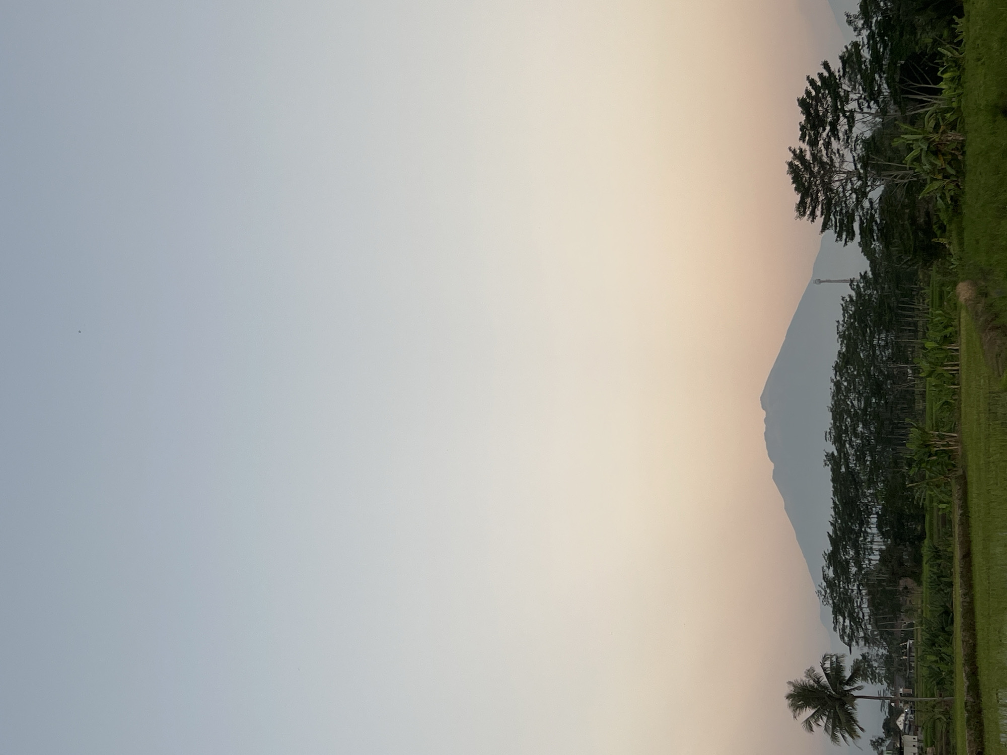 The image captures a serene rural landscape in Kalijoso, Indonesia, at dusk. A vast, gradient sky transitions from a pale blue at the top to soft hues of orange and pink near the horizon, indicating the setting sun. Dominating the mid-ground is a silhouette of a large mountain, its peak softly defined against the sky. In front of the mountain, a dense line of trees forms a dark, textured band, with some taller trees with distinctive flat canopies standing out. To the left of this tree line, a solitary palm tree stands tall with its fronds spread out. Below the trees, the landscape is a patchwork of lush green fields, likely rice paddies, with some areas showing distinct rows. A narrow dirt path or irrigation channel cuts through the fields. On the far left, glimpses of small buildings suggest a nearby village. A tall, slender telecommunications tower is visible rising above the trees, slightly to the right of the mountain's center. The overall impression is one of peaceful rural life at the end of the day. There are no people or animals visible in the frame.