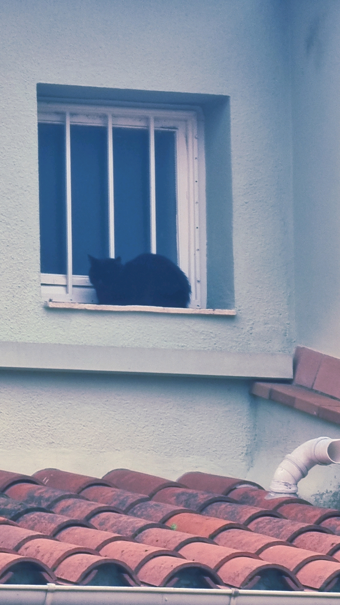 A black cat is resting on the windowsill of a building in Sant Joan Les Fonts, Spain. The cat is positioned in the center of the image, facing left. The window has white bars. The building exterior is a light blue color, and a section of a terracotta tiled roof is visible in the lower part of the image, with a white pipe protruding from it.