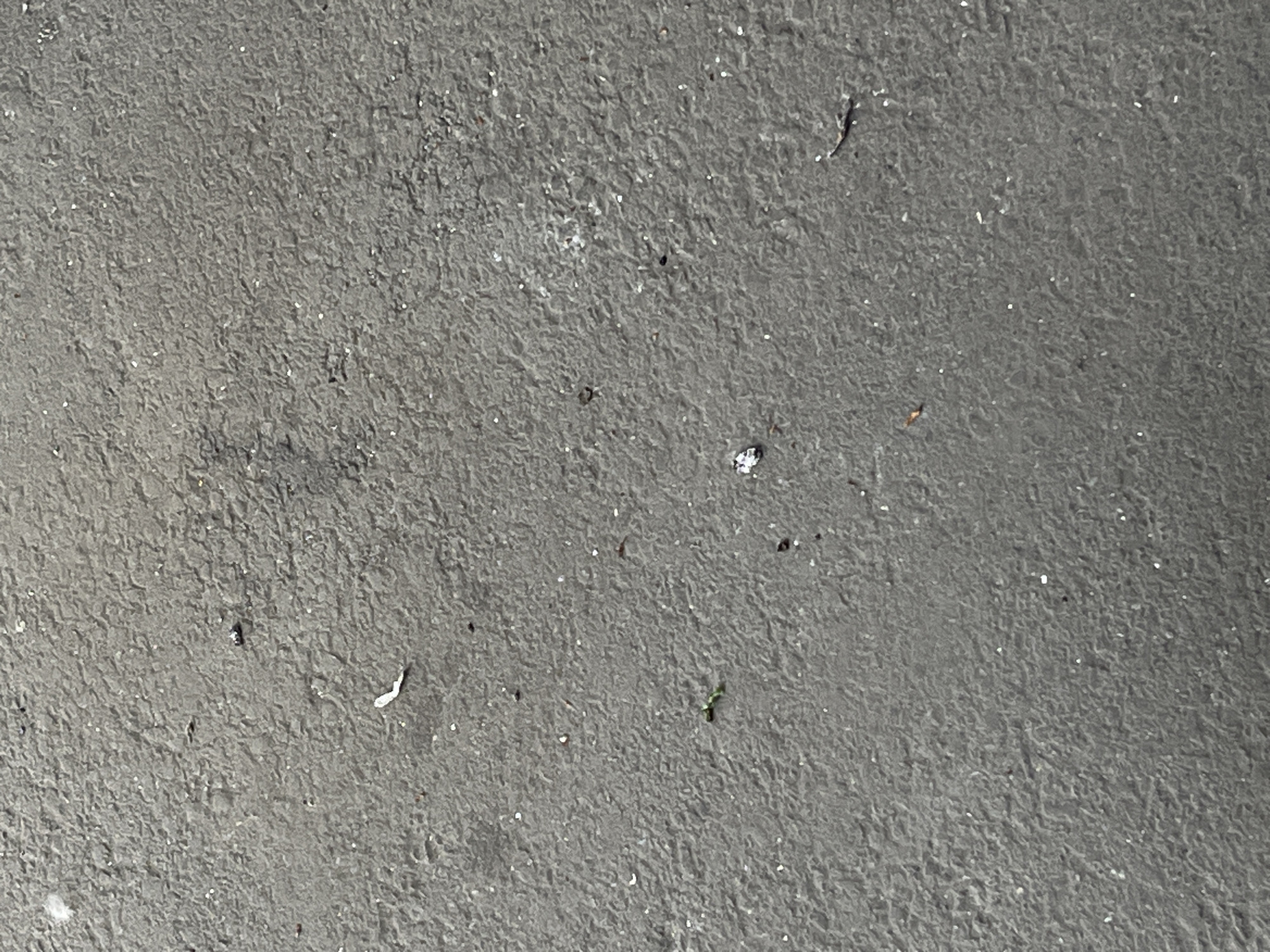 The image is a close-up, overhead shot of a textured asphalt surface. Scattered across the surface are several small pieces of debris, including what appears to be a white fleck of paper or plastic in the upper-middle area, a small green object resembling a piece of plant matter near the left-middle, and a tiny, dark, insect-like object slightly below and to the right of the center. There are also numerous very small, reflective white specks, possibly glitter or small fragments of plastic, distributed across the asphalt. The asphalt itself has a rough, uneven texture with subtle variations in color, ranging from dark gray to lighter gray. The lighting suggests an overcast day, as there are no strong shadows.
This image is of an outdoor scene, likely a pavement or walkway, in the city of Kyiv, Ukraine. There are no visible people or significant actions occurring.