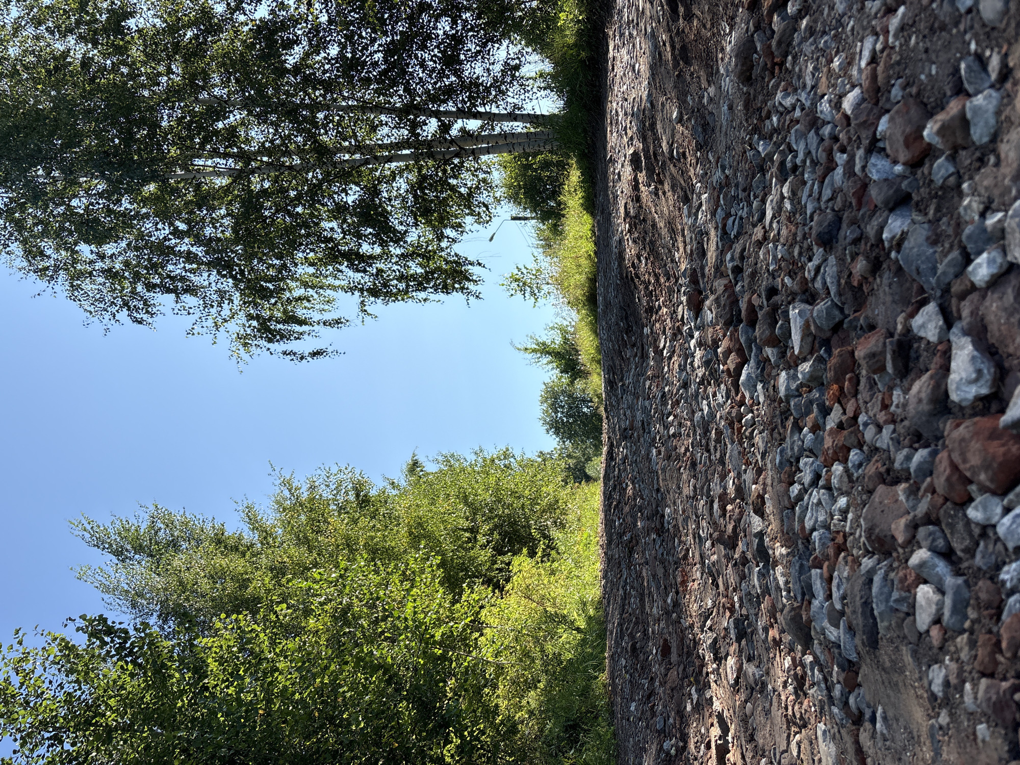 The image depicts a low-angle view of a rocky, dirt path ascending through a sunlit natural environment. The path is covered in an abundance of stones and gravel of varying sizes and colors, predominantly grey, brown, and reddish-orange. The path is flanked by lush green trees and vegetation. On the left side, a dense cluster of trees with vibrant green leaves forms a solid wall of foliage. On the right side, several birch trees with their characteristic white and black bark stand tall, their leaves creating a dappled canopy. Beyond the immediate path, the terrain rises, with more trees and vegetation visible in the distance, under a clear, bright blue sky. The lighting suggests it is a sunny day, casting shadows from the trees onto the path, particularly in the foreground. The scene appears to be a rural or natural setting, possibly on the outskirts of a settlement given the presence of a single lamppost visible in the middle ground on the right, near the birch trees and a fence. The location is identified as being in the city of Overyata, Russia. No people are visible in the image.