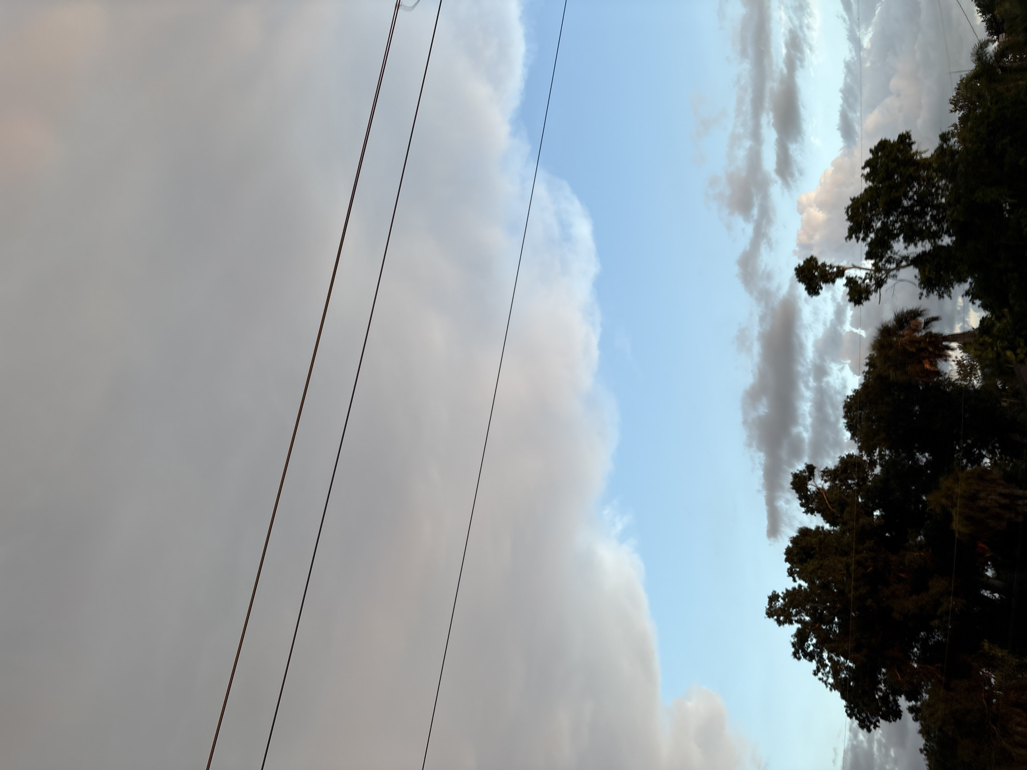 The image shows a sky with clouds and power lines, with trees at the bottom. The sky is a mix of gray and blue, with large, fluffy clouds dominating the upper half of the frame. The power lines are thin and dark, stretching horizontally across the sky. The trees at the bottom are dark and silhouetted against the sky, with their branches reaching upwards. The overall scene suggests an outdoor environment, possibly in a residential area, given the presence of trees and power lines. The lighting indicates it could be late afternoon or early evening, as the clouds are catching the light in a soft, diffused manner. The location is specified as South Venice, United States of America.
