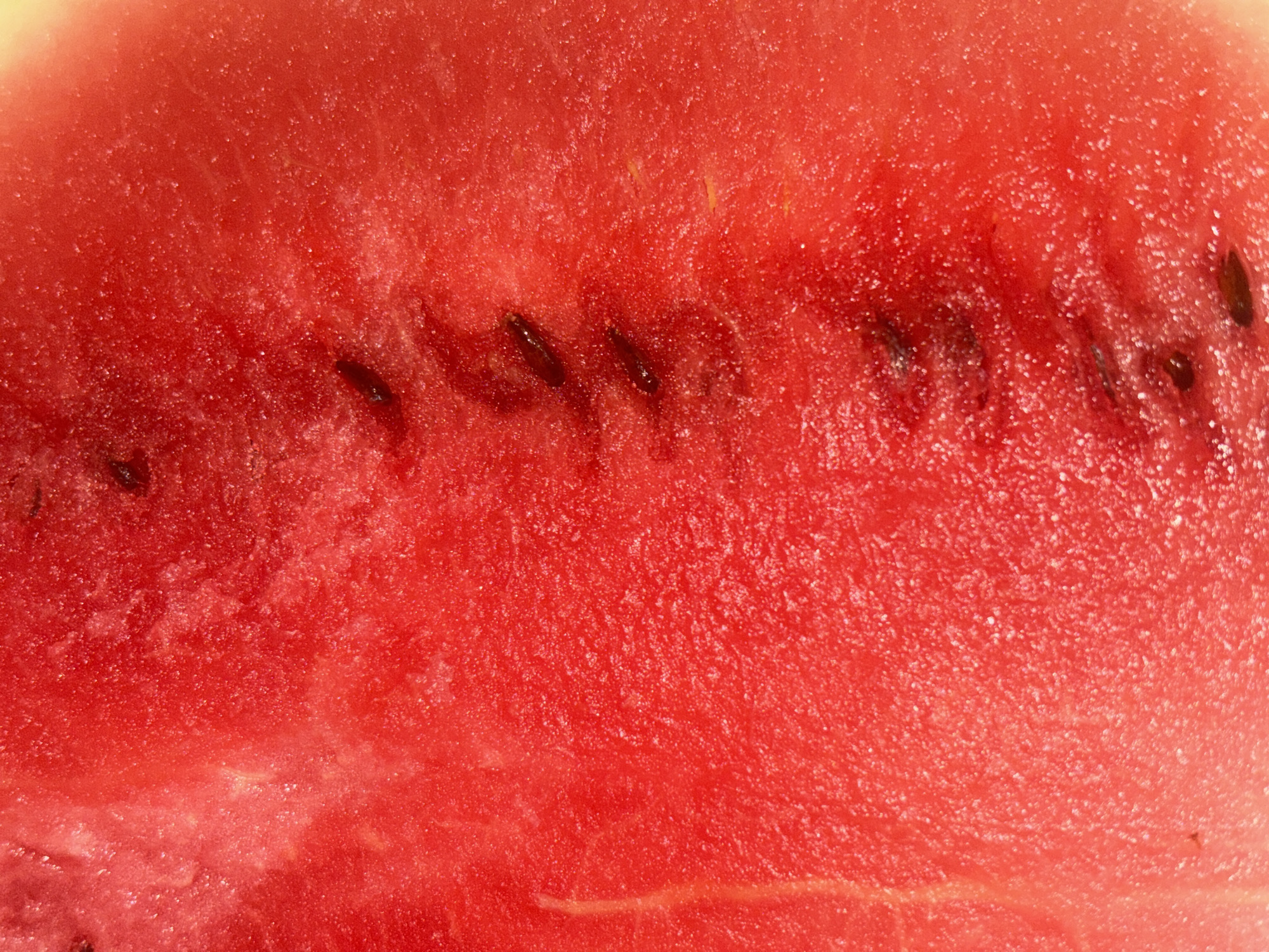 This is an extreme close-up, macro shot of the flesh of a watermelon. The image is dominated by a vibrant, saturated red hue, indicative of ripe watermelon. The texture is granular and slightly moist, with numerous tiny, sparkling highlights scattered across the surface, suggesting the juicy nature of the fruit. Embedded within the red flesh are several dark, elongated shapes, which are clearly watermelon seeds. These seeds are arranged in a roughly horizontal line across the center of the image, with some visible in the foreground and others deeper within the flesh. The lighting appears to be bright and direct, creating the highlights and emphasizing the depth of the watermelon's texture. The overall impression is one of freshness and the natural beauty of the fruit's interior. There is no visible text, people, or indication of a specific setting beyond the fruit itself. The context of Tashkent, Uzbekistan, suggests this is likely a locally grown or sourced watermelon, a common fruit in the region, particularly during the warmer months.