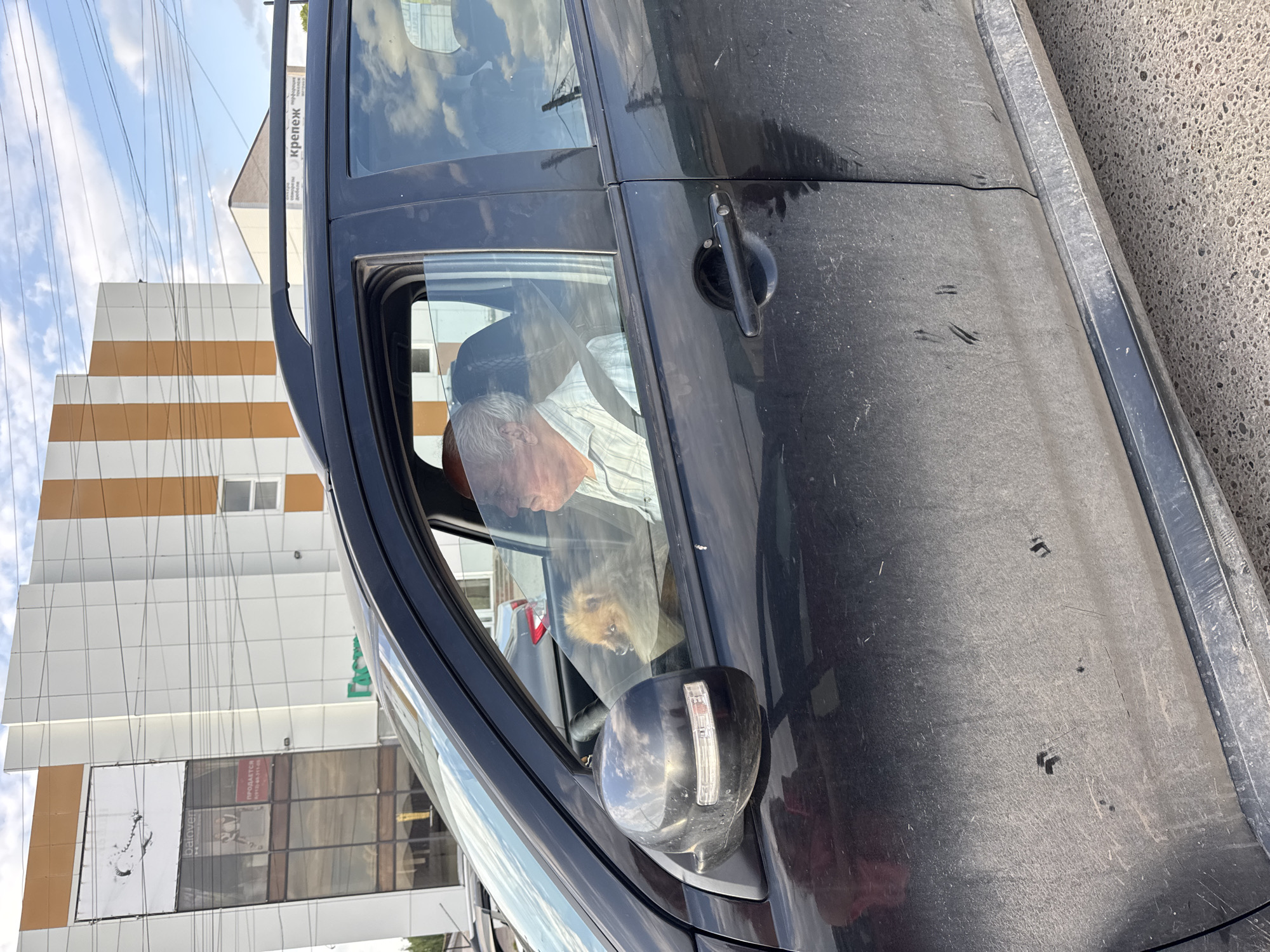 A medium shot depicts the driver's side of a dark-colored car, likely a crossover or SUV, parked on an asphalt surface. An elderly man with gray hair is visible behind the wheel, wearing a light-colored, collared shirt. A small, light-brown dog is visible in the passenger seat, appearing to look towards the front. The side-view mirror is visible. Reflections of clouds and buildings are visible on the car's windows.
In the background, a multi-story building with alternating white and brown horizontal stripes is visible. Overhead power lines intersect the sky. A sign with the word "Крепёж" is attached to the top of the building. Another building with commercial signage is also in the background. Based on the signage and architectural style, the location is Chaikovsky, Russia.