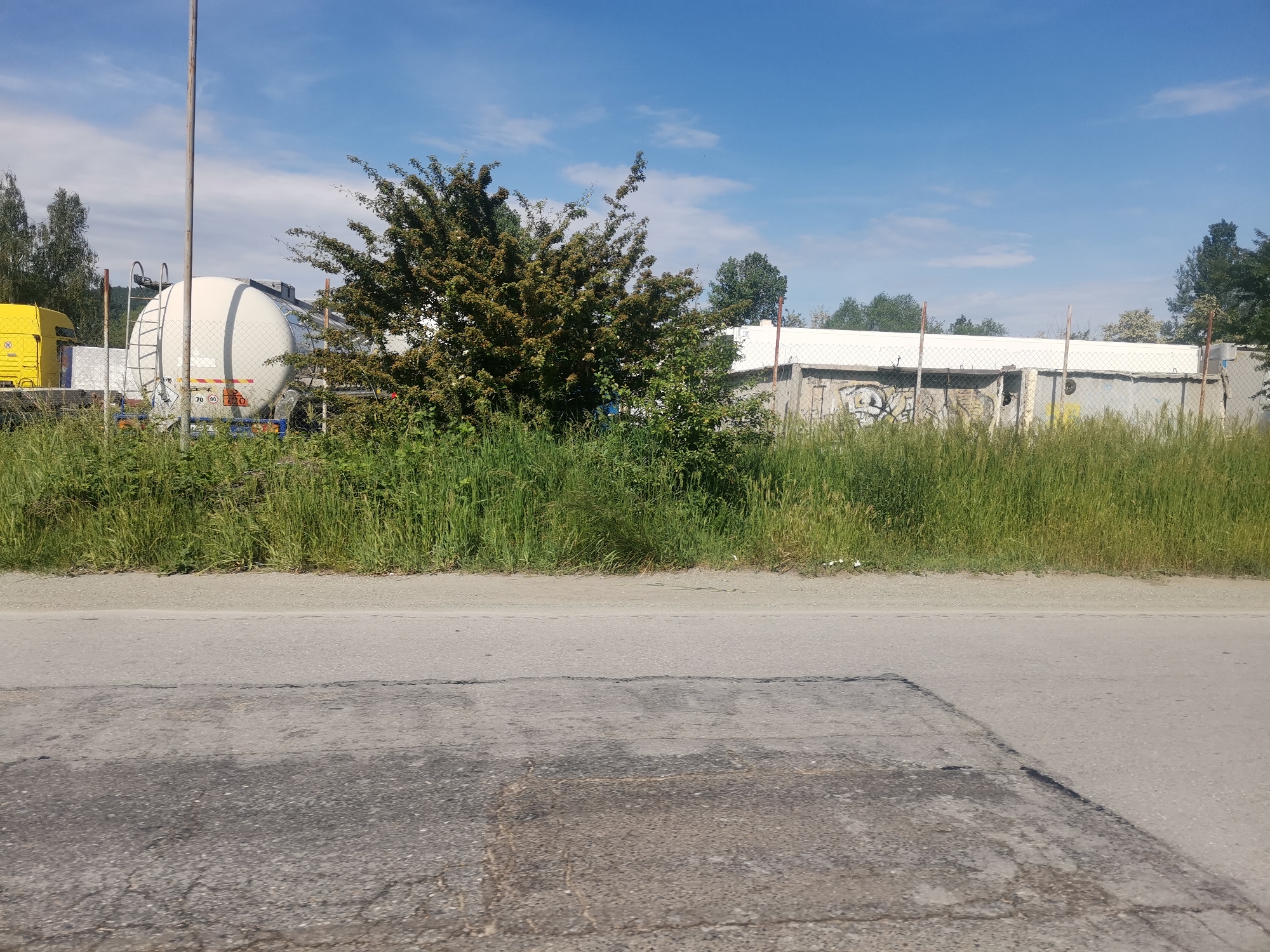 The image presents a view of a roadside scene in Mirovo, Bulgaria. A gray, cracked asphalt road is in the foreground. Beyond the road, there is a patch of tall, green grass. Behind the grass, a large, white tanker truck is visible. A yellow truck cabin is partially visible to the left of the tanker. Further back, there is a low, concrete building with graffiti. The building has a white roof and is surrounded by a chain-link fence. Several tall, metal poles stand along the fence line. A tree partially obscures the view of the tanker and building. The sky is blue with some scattered clouds.