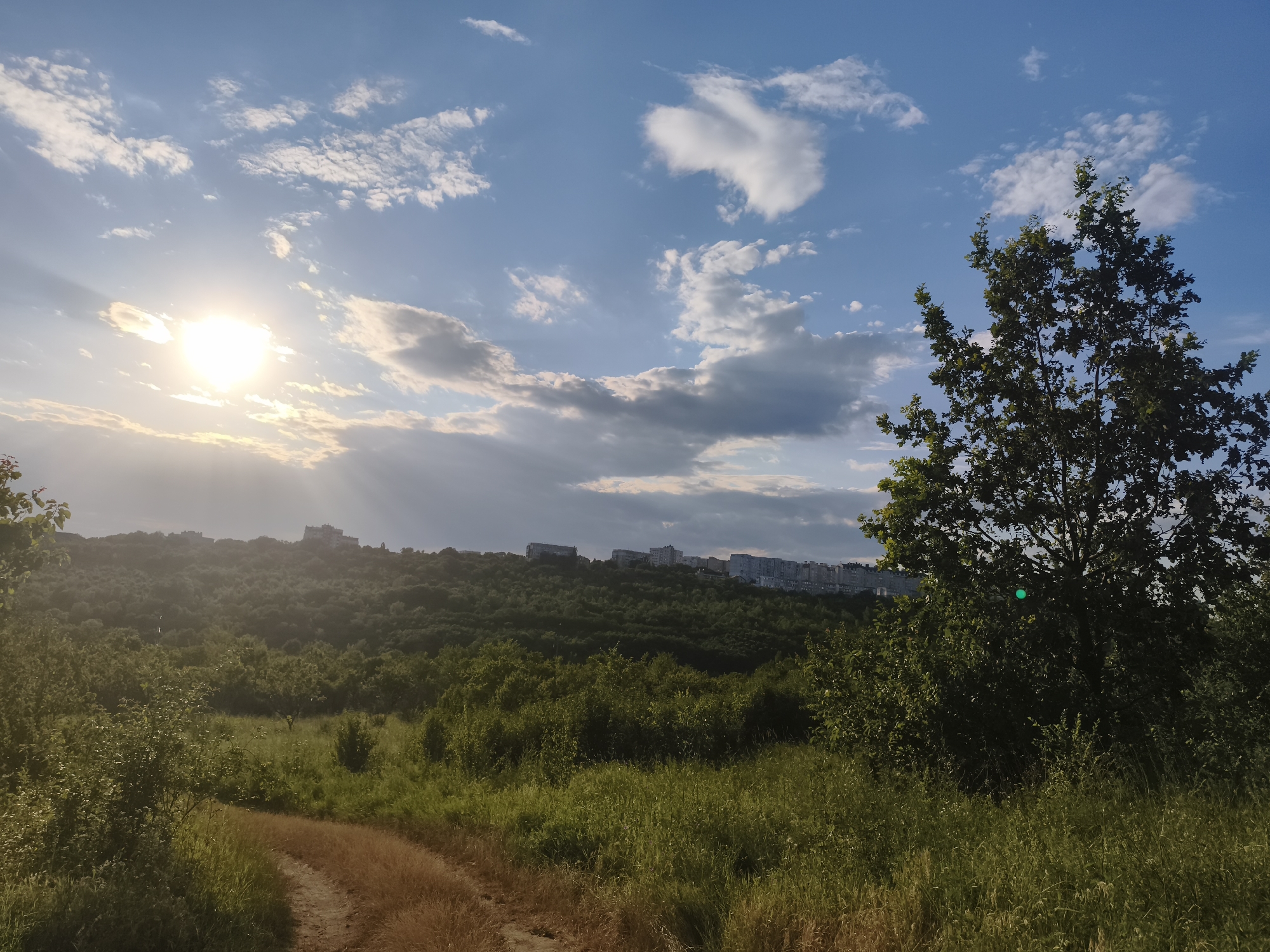 A dirt path winds through a field of tall grass and greenery under a bright, cloudy sky. The sun, partially obscured by clouds, casts rays of light across the scene. In the distance, a line of trees covers a hillside, topped by a cluster of modern buildings. A large tree with dark green foliage stands prominently on the right side of the frame. The image captures a natural landscape with urban elements on the horizon, suggesting a location on the outskirts of Codru, Moldova. There are no people or animals visible in the image.