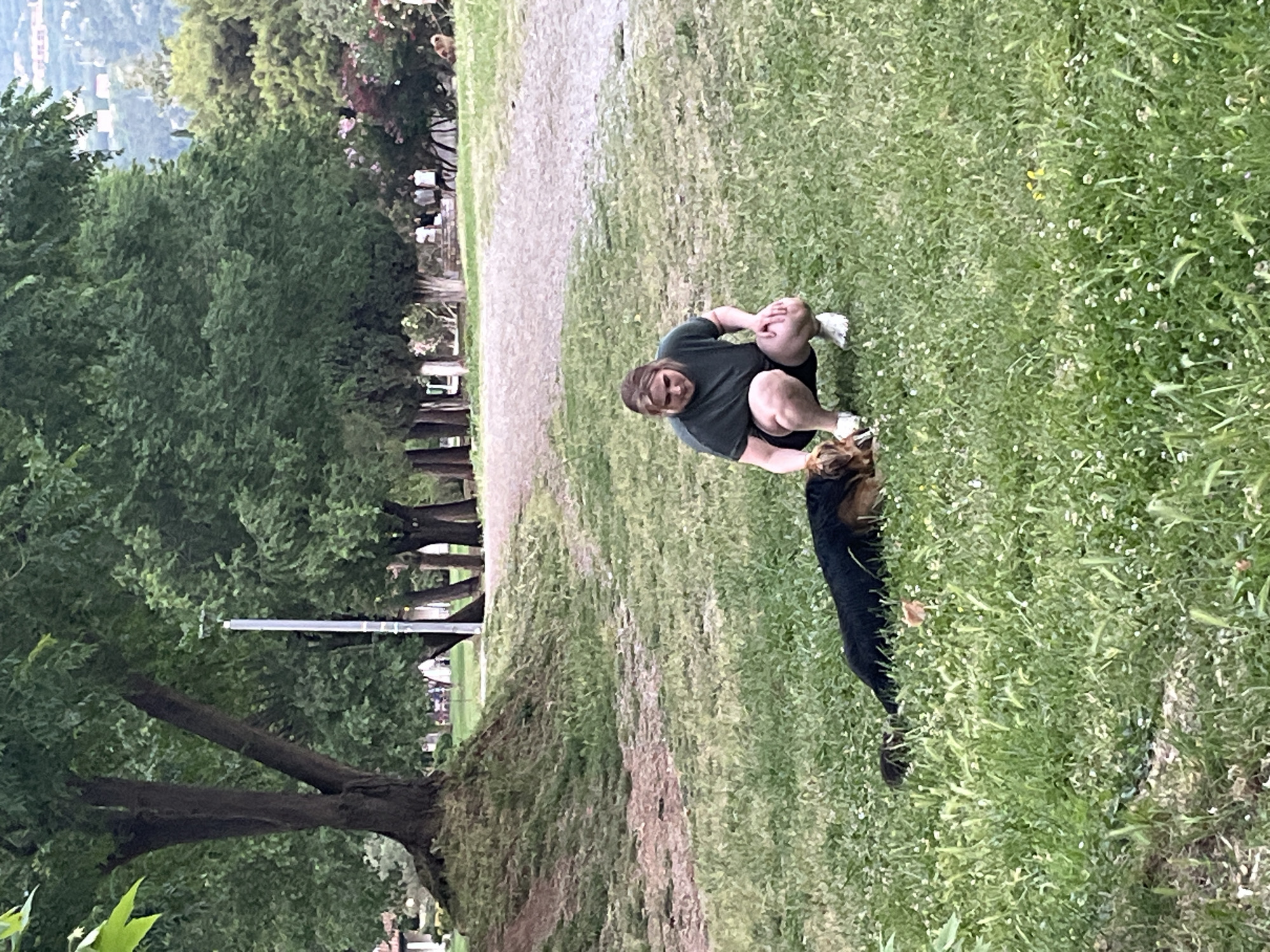 A medium outdoor shot reveals a man and a dog in a park. The man, who appears to have light-colored hair, wears a dark t-shirt and dark shorts. He is squatting with his hands on his right knee. The man has on white sneakers. A long-haired black and brown dog stands next to him.
The location is a grassy park with a dirt path running through it. Mature green trees line the left side of the frame, while the park stretches into the distance. A series of utility poles are visible between the trees.
Specific details of the location in Budva, Montenegro, are not definitively discernible from the image.
