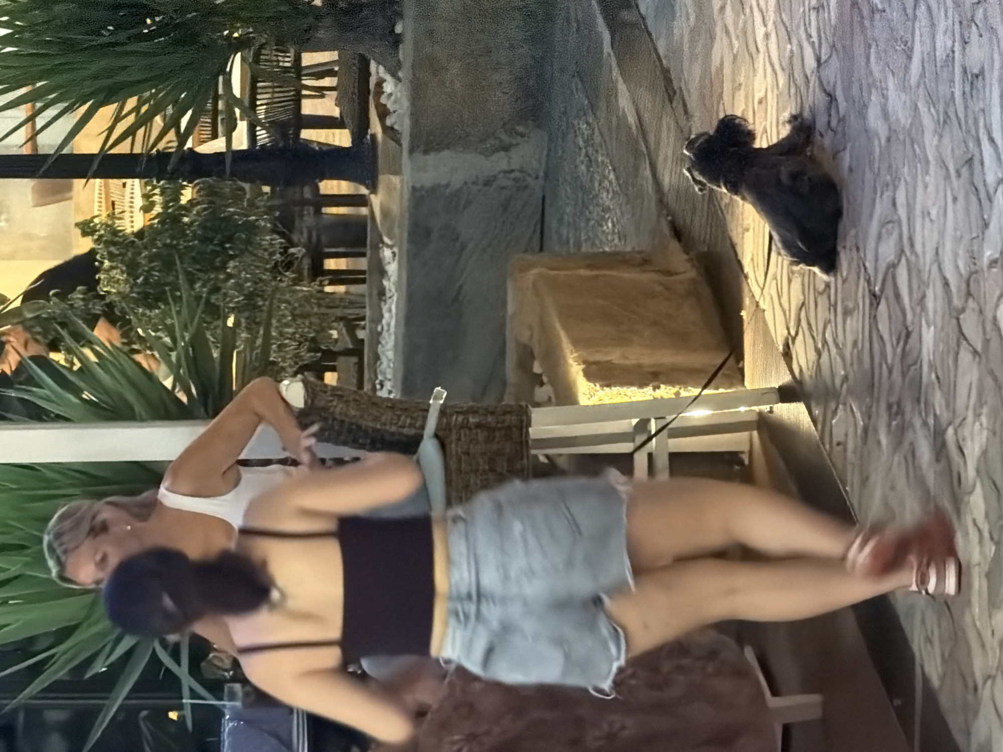 In Palmanova, Spain, two individuals and a dog are captured in an outdoor setting that appears to be a restaurant or bar patio. A woman with blonde hair, wearing a white tank top, is facing away from the camera, leaning on a woven chair. In front of her, a woman with dark hair, wearing a dark crop top and light denim shorts, walks away from the camera. Her right leg is blurred due to motion. A small, dark, shaggy dog is seated on the stone-tiled ground to the right of the frame, facing away from the camera and appearing to be on a leash. The environment features potted plants and outdoor furniture, with a warm, artificial light source casting shadows on the ground.