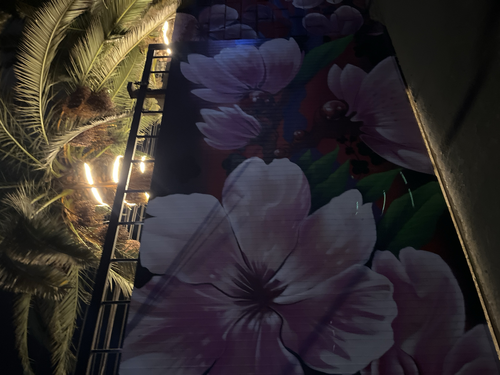 A low-angle shot depicts a multi-story building with a floral mural on its facade, illuminated by unseen sources. The mural features large, light purple flowers and green leaves on a dark red and black background. Adjacent to the building, a ladder-like structure stands in front of several palm trees. Lights are positioned within the palm trees, casting a warm glow. The building is situated in Arica, Chile, based on the style of the artwork.