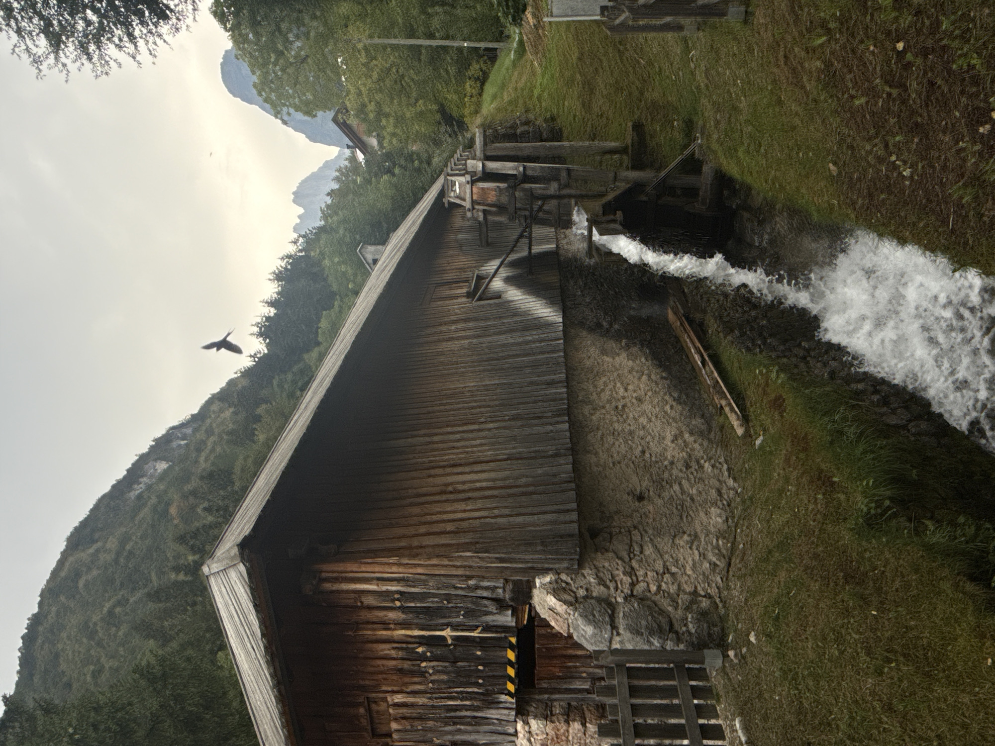 An exterior, eye-level, medium shot captures a watermill adjacent to a mountainous area with trees. The watermill is constructed of weathered wood and stone, with a large wooden waterwheel at its center. Water rushes from the top of the wheel, cascading into a stream that flows past the mill. The mill is situated on a grassy incline, with a wooden fence bordering the left side of the frame. In the background, steep, tree-covered mountains rise under an overcast sky. A bird is visible in flight above the mountains. This scene is located in Molveno, Italy.