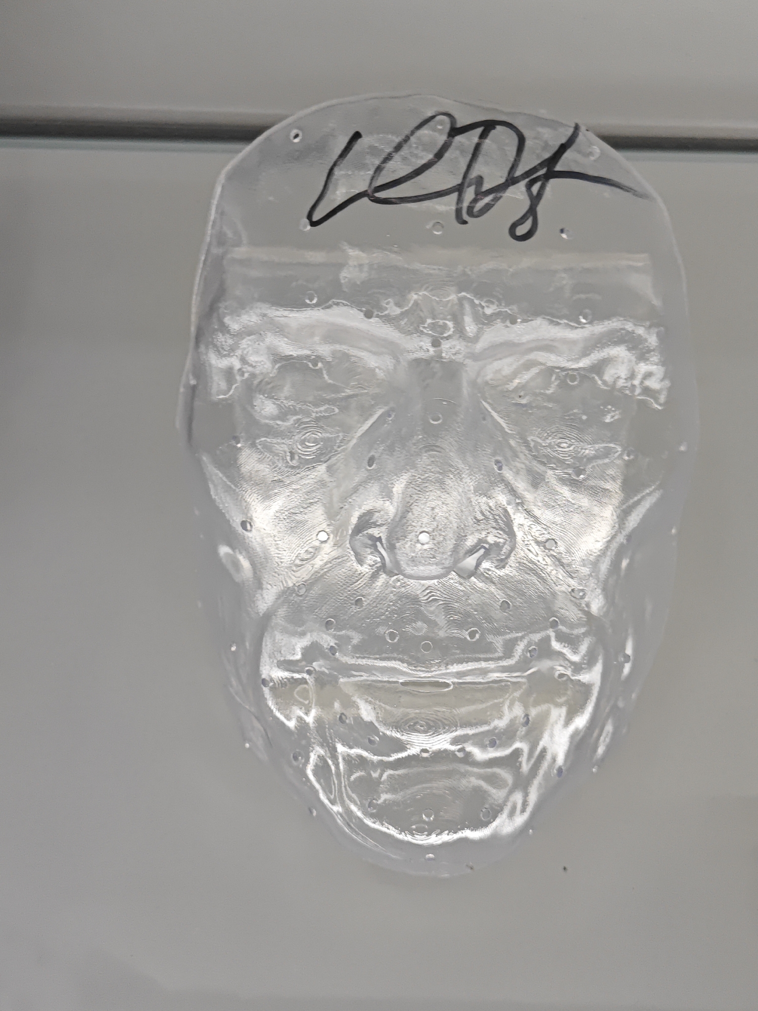 A clear, three-dimensional cast of a human face is displayed against a plain, light-colored background. The cast appears to be made of a translucent material, possibly plastic or resin, and is textured with numerous small, circular indentations across its surface. The facial features, including the eyes, nose, and mouth, are clearly defined. A black, handwritten signature is visible on the forehead of the cast. The cast is positioned upright, with the head facing directly towards the camera. There is a horizontal line visible across the top of the image, suggesting the cast may be displayed on a shelf or in a display case. The overall lighting is soft and diffuse, creating subtle shadows and highlights on the cast's surface. The specific location of this image within the city of Turin, Italy, cannot be determined from the visual information provided.