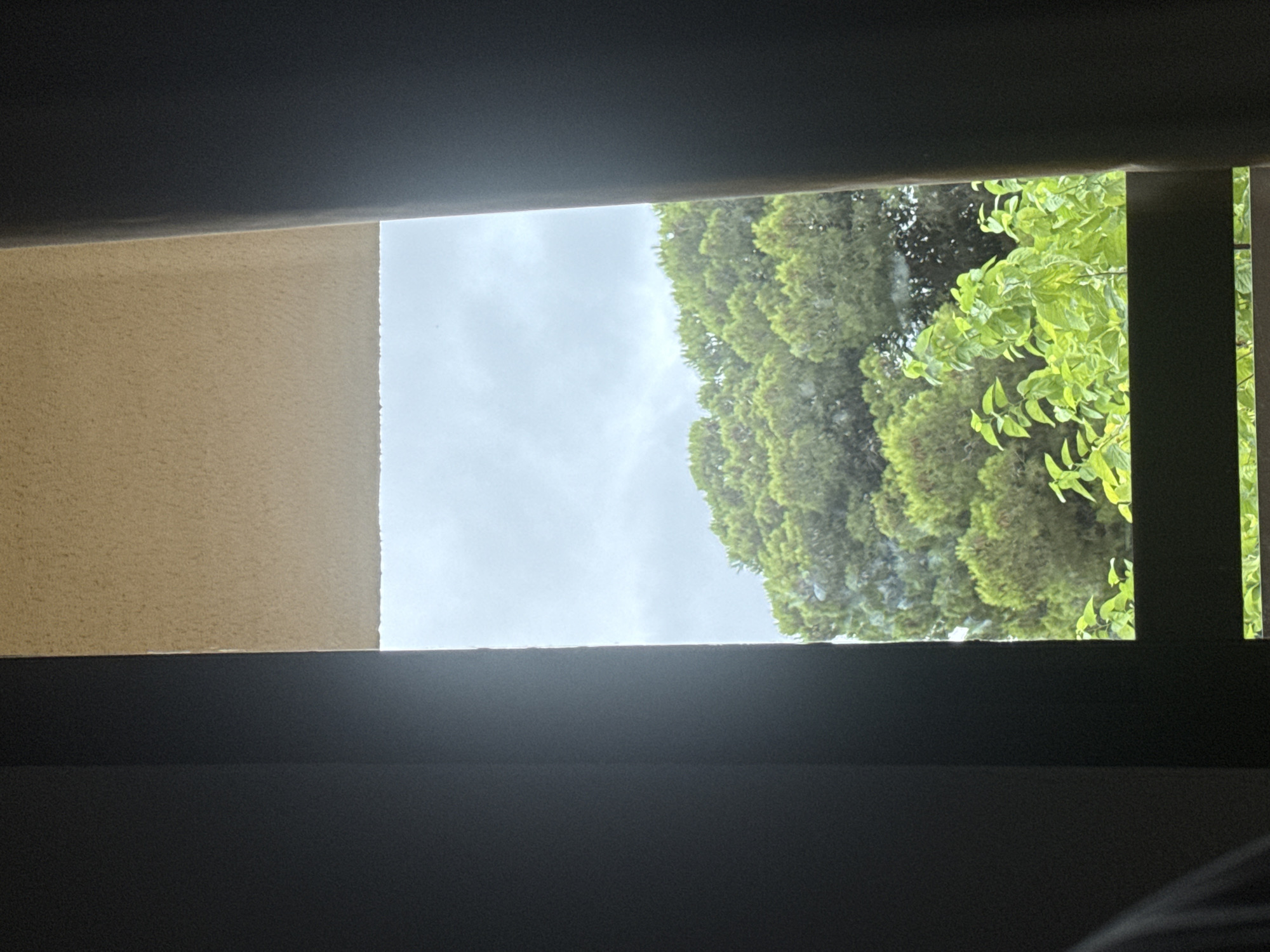 A view through a window or opening reveals a cloudy sky and a dense canopy of green trees. The foreground is dominated by dark, vertical framing elements, suggesting the interior of a room or sheltered space. The upper portion of the opening shows a textured, beige surface. The lower part of the frame reveals more of the green foliage, including some smaller plants with bright green leaves. The scene suggests an outdoor environment, likely residential or natural, possibly in Tossa de Mar, Spain, given the vegetation and the typical architecture seen in coastal Mediterranean towns. There are no people or animals visible.