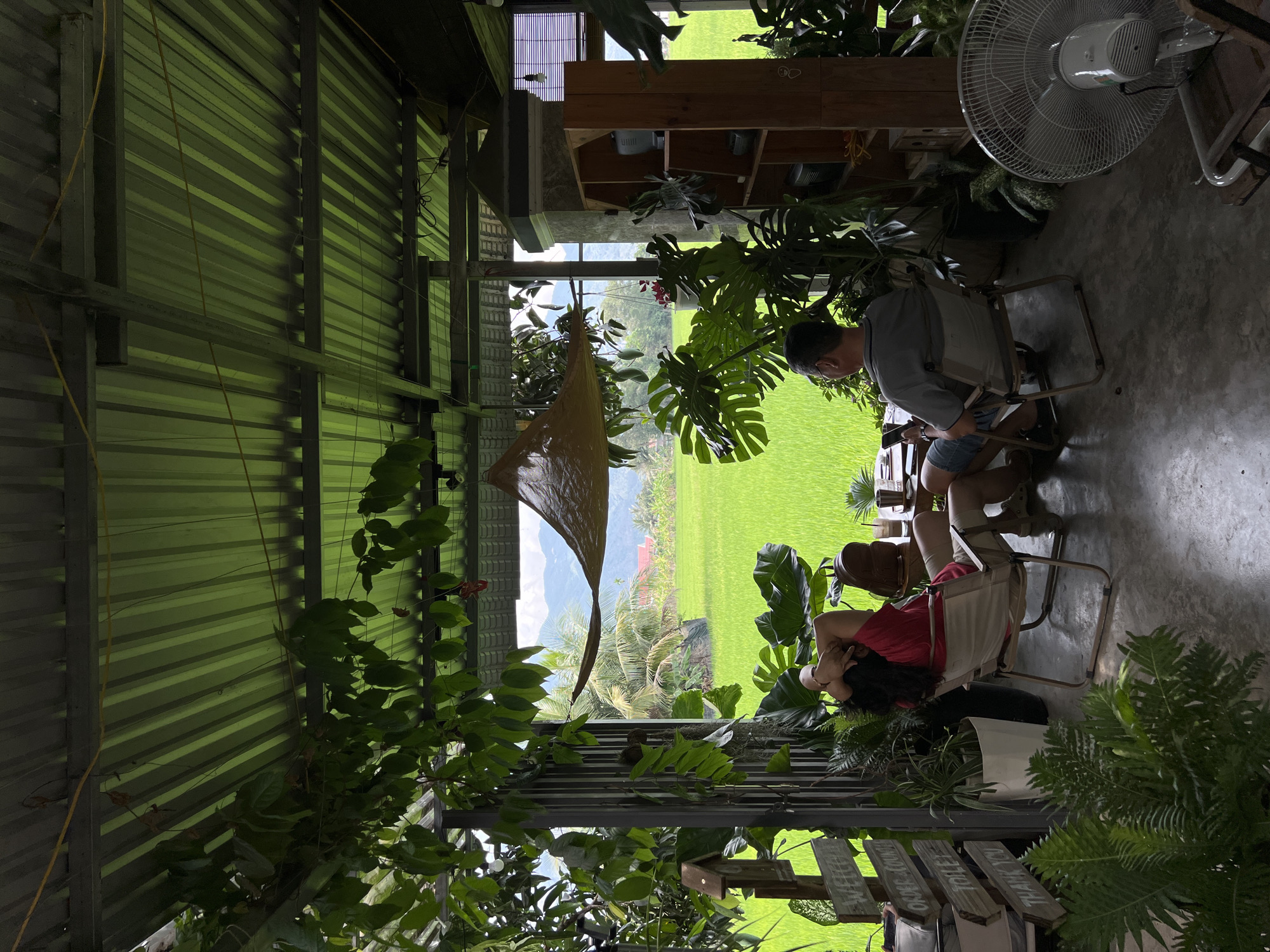 The image shows the interior of a building in Diên Khánh, Vietnam. The building has a corrugated metal roof and is open on one side, providing a view of a lush, green rice field and distant mountains. A traditional Vietnamese conical hat hangs as a decoration. Inside, two people are present. A man is sitting on a folding chair, appearing to be using a mobile phone. A woman is reclined on another chair. The foreground and interior space are adorned with numerous potted plants. In the background, a standing electric fan is visible. Wooden signs with phrases such as "Thank You" and "Toilet" are partially visible near the woman.