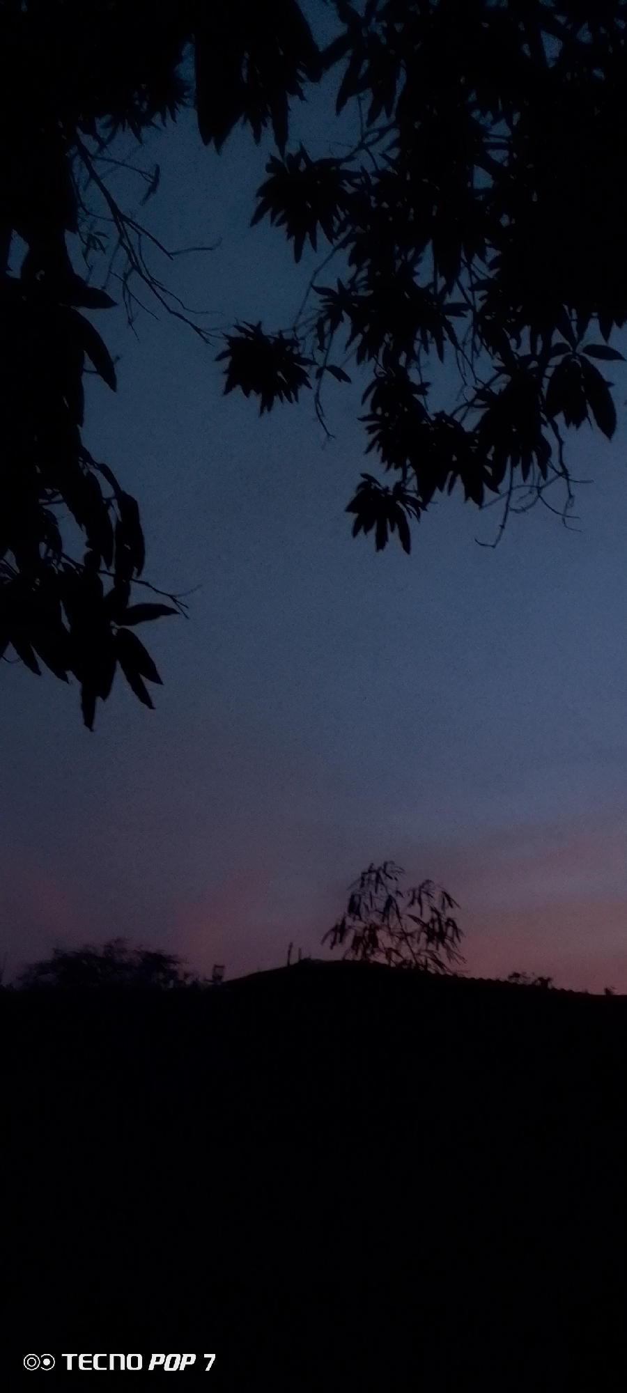 A nighttime photograph shows tree branches in silhouette against a darkening sky. In the distance, a small hill is visible, also silhouetted. The sky transitions from a deep blue to a faint pink or orange near the horizon. The location is likely in Altagracia, Venezuela, as indicated by the user's request. No people are visible, and the primary subjects are natural elements.