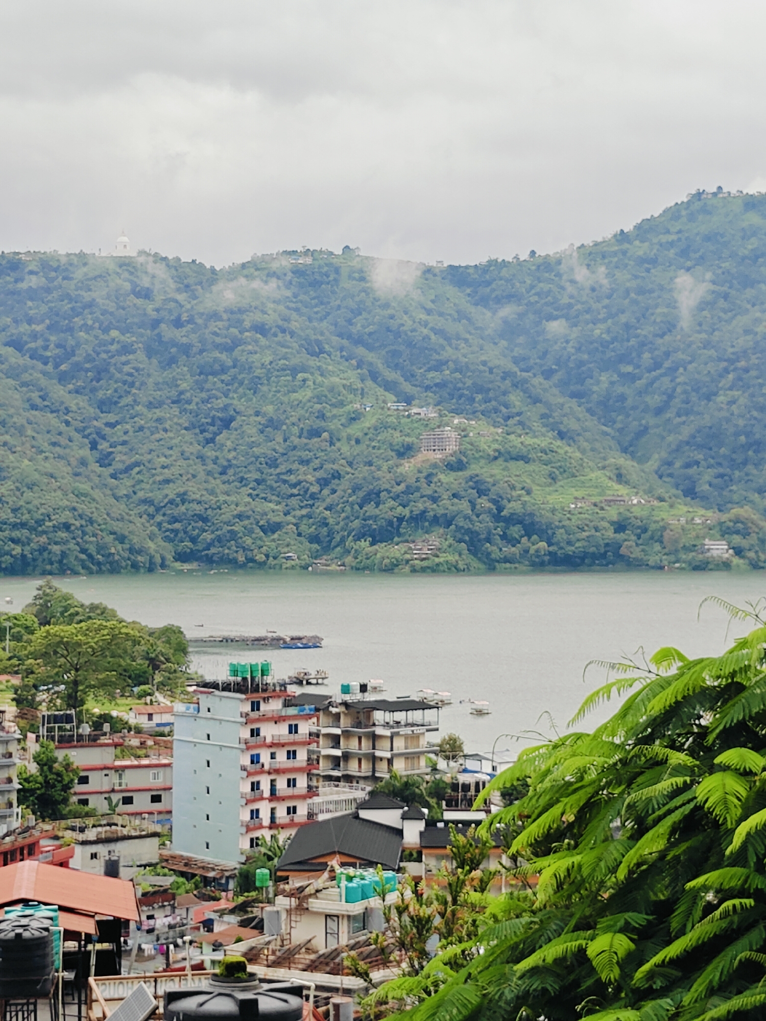 This is a wide, slightly elevated shot of Pokhara, Nepal, overlooking Phewa Lake. The sky is overcast, with a few wisps of clouds near the mountain tops. The foreground is dominated by lush green foliage, with ferns on the right and trees on the left. Below the foliage, a dense collection of buildings forms a townscape. These buildings are mostly multi-story and appear to be a mix of hotels and residences, with visible balconies, windows, and rooftops, some adorned with water tanks. A tall, narrow, light blue building stands out amidst the cluster. The town extends to the edge of Phewa Lake, a large body of calm, grey-green water. In the middle distance, there are several boats moored near a jetty, and a few more scattered on the lake. The background consists of rolling, densely forested green hills, with some buildings visible on their slopes. At the very top of the furthest hill, a white dome-shaped structure, likely a stupa or temple, is visible against the cloudy sky. The overall impression is a scenic, somewhat hazy view of Pokhara, emphasizing its natural beauty and urban development around the lake.