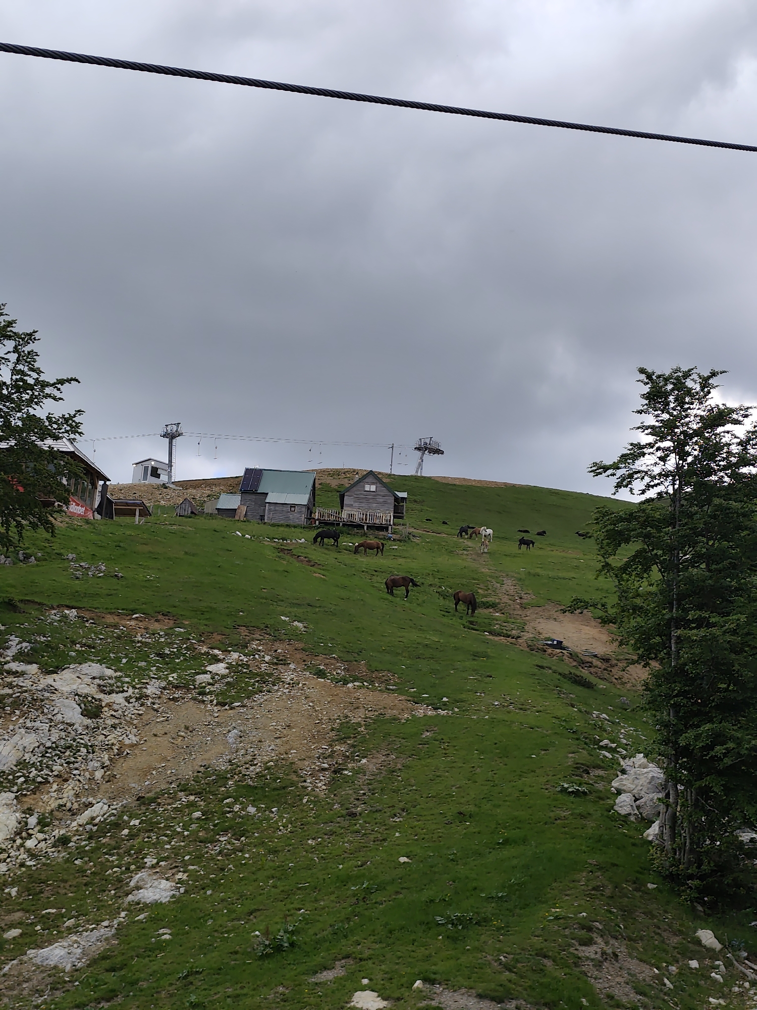 The image displays a mountainous landscape at Katun Bačko brdo, Montenegro, under an overcast, grey sky. A thick, dark, multi-stranded cable spans horizontally across the upper portion of the frame, originating from the top-left and extending towards the top-right.
The terrain consists of a steep, grassy hillside dotted with patches of bare light brown earth and numerous scattered white rocks. A narrow dirt path winds uphill from the lower-right quadrant, passing between various elements on the slope.
Several wooden structures are visible on the hillside. On the left, a building with a red sign, partially legible as "urb_nket", is present. To the right of this, a cluster of smaller, rustic wooden cabins features green-colored roofs; one of these cabins is equipped with a solar panel on its roof. A third wooden building with an elevated wooden deck is partially visible further to the right.
Approximately ten horses are distributed across the grassy areas, engaged in grazing. Most horses are dark-colored (brown or black), while one lighter-colored horse (white or light grey) is discernible further up the central slope. A prominent deciduous tree with dense green foliage stands in the lower-right portion of the image.
Towards the crest of the hill, two metallic ski lift pylons are evident. The pylon on the left is a more complex structure, while the pylon on the right is simpler. A ski lift cable, from which several empty chairlifts are suspended, connects these pylons. No human figures are present in the scene.