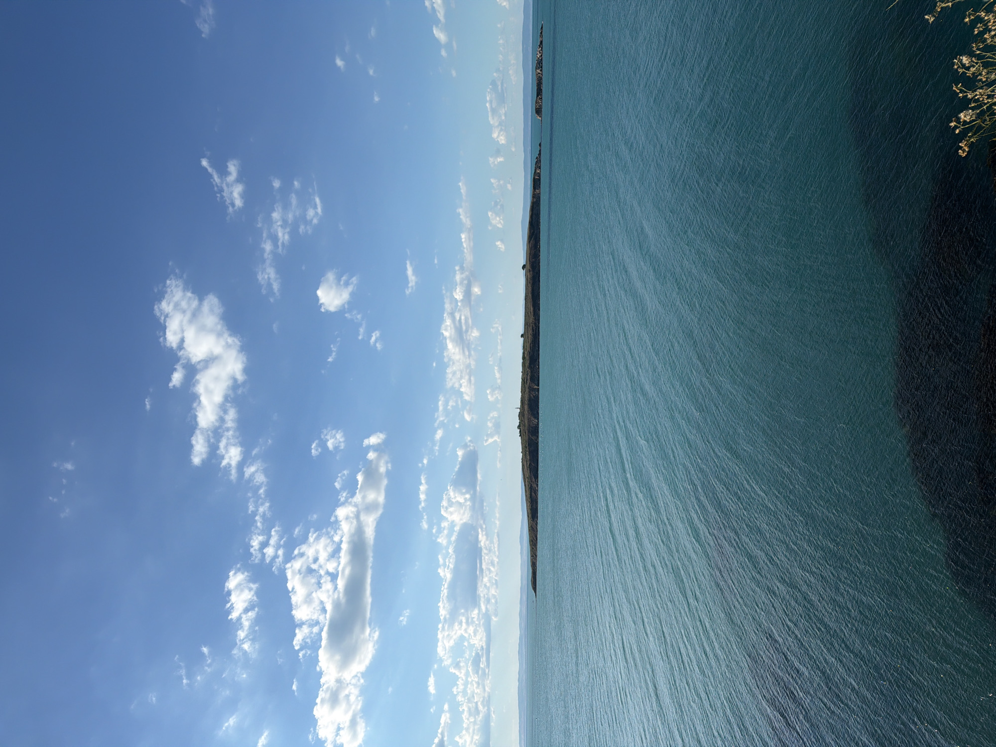 The image depicts a wide expanse of the Black Sea under a bright blue sky dotted with fluffy white clouds. In the distance, a long, low-lying island stretches across the horizon, with a few buildings visible on its surface. The water is a deep teal color, with ripples indicating a gentle breeze. The foreground shows a dark, shadowy area which appears to be the edge of a cliff or landmass, with a few dry plants growing near the bottom right corner. The scene is devoid of any people or animals. This is likely the view of St. Ivan Island or St. Peter Island, located off the coast of Sozopol, Bulgaria.
