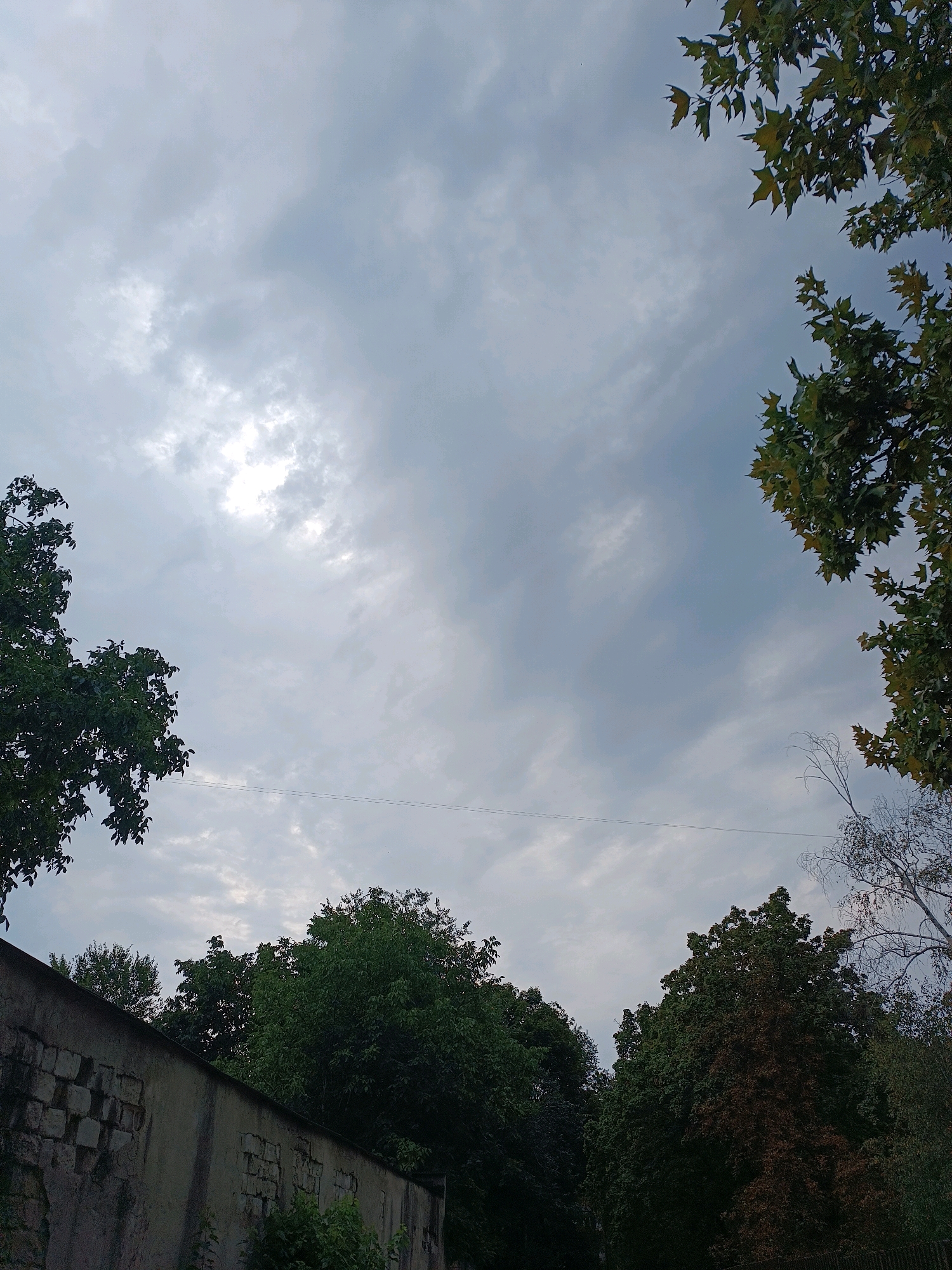The image captures a view of the sky above a row of trees and a weathered concrete wall. The sky is overcast with thin clouds, allowing some sunlight to break through in the upper left quadrant. In the foreground, a segment of a gray concrete wall with exposed bricks is visible along the bottom left. Behind the wall, dense green trees form a line, with some foliage extending into the frame from the left and right edges. A thin power line is visible spanning across the middle of the frame. The scene appears to be an outdoor urban environment in Chișinău, Moldova, likely on a cloudy day. There are no people or animals in the frame.
