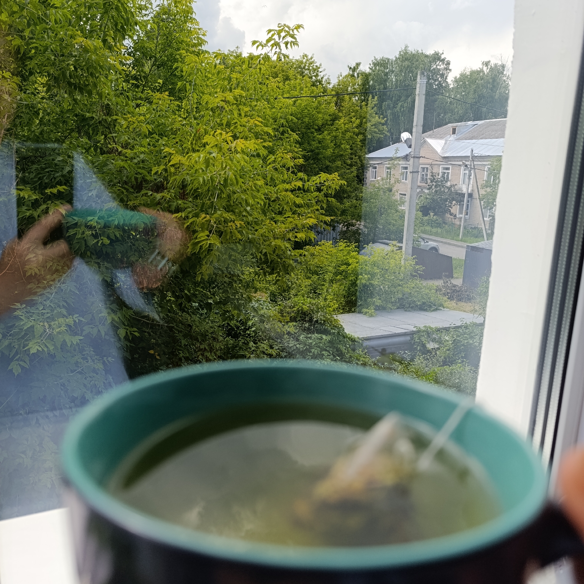 A close-up, slightly blurry shot shows a teal-rimmed mug filled with pale green tea. A tea bag is steeping in the mug, its string visible. The mug is placed on a white surface, possibly a windowsill.
Through a window, a lush, green scene unfolds. Dense foliage, likely trees and bushes, dominates the view. Sunlight filters through the leaves, creating a dappled effect. In the background, a few buildings are visible, characterized by light-colored brickwork and peaked roofs. Some power lines and a utility pole are also present, suggesting an urban or suburban environment.
A reflection is noticeable on the windowpane. A person's hand, holding what appears to be a phone or camera, is visible in the upper left quadrant of the image. The reflection also shows more of the surrounding greenery and a hint of the sky. The sky is overcast, with grey clouds, indicating a possibly warm but not necessarily sunny day. The scene suggests a moment of quiet contemplation, perhaps enjoying a cup of tea while observing the view outside. The location is identified as Kazan, Russia.