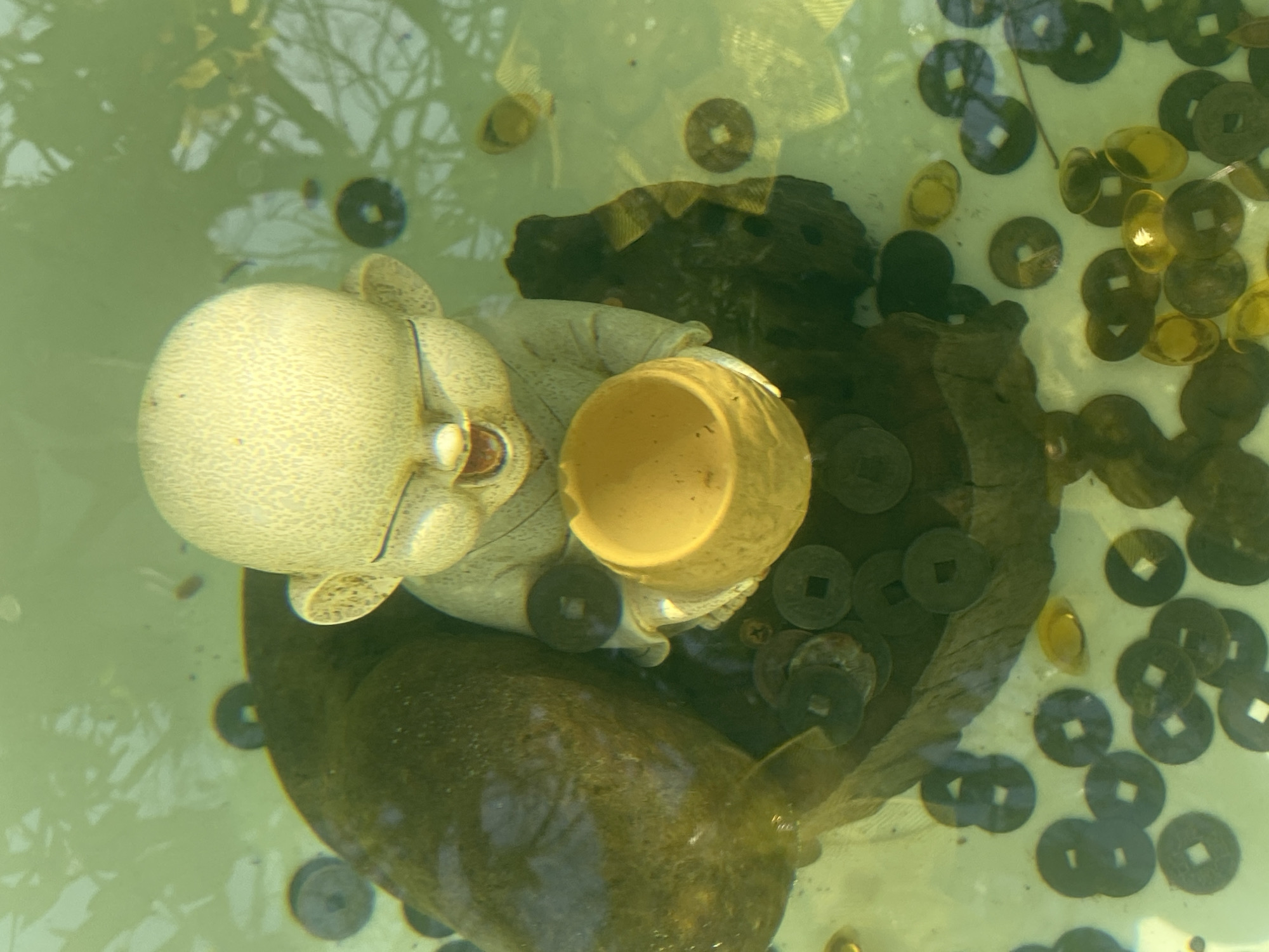 The image shows a small, light-colored statue of a smiling, bald figure, possibly a child or a deity, sitting in shallow, greenish water. The statue is holding a yellow bowl. It is positioned on a dark, rough, possibly wooden, object. The water is filled with numerous dark, circular objects with square holes in the center, which appear to be antique coins. There are also a few small, yellowish fish swimming in the water. The lighting suggests an outdoor environment, with dappled light on the water's surface indicating trees or other foliage above. The scene is located in Đà Nẵng, Vietnam, and appears to be an ornamental feature in a garden or public space.
