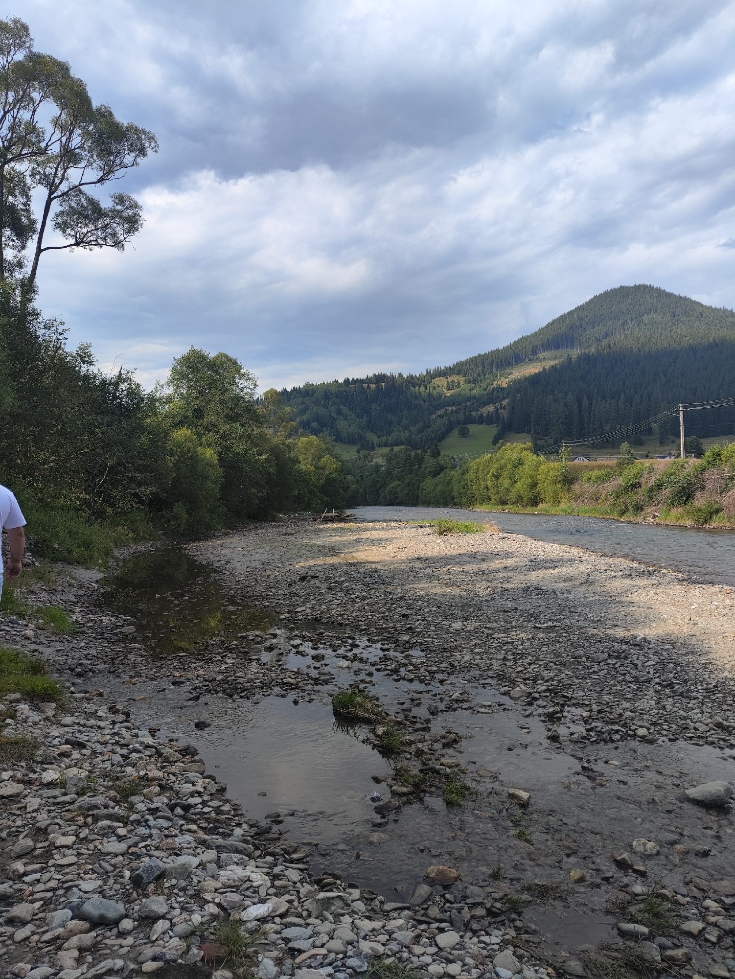 The image shows a wide, stony riverbed with shallow water flowing through it. The riverbanks are lined with lush green trees and vegetation. In the background, a dense forest covers the sloping hills of a mountain range under a cloudy sky. The scene appears to be a natural landscape, likely a river valley in a mountainous region.
The description of Botoș, Romania, is not supported by the visual evidence in the image. There are no specific landmarks or features that definitively place the scene in that location.