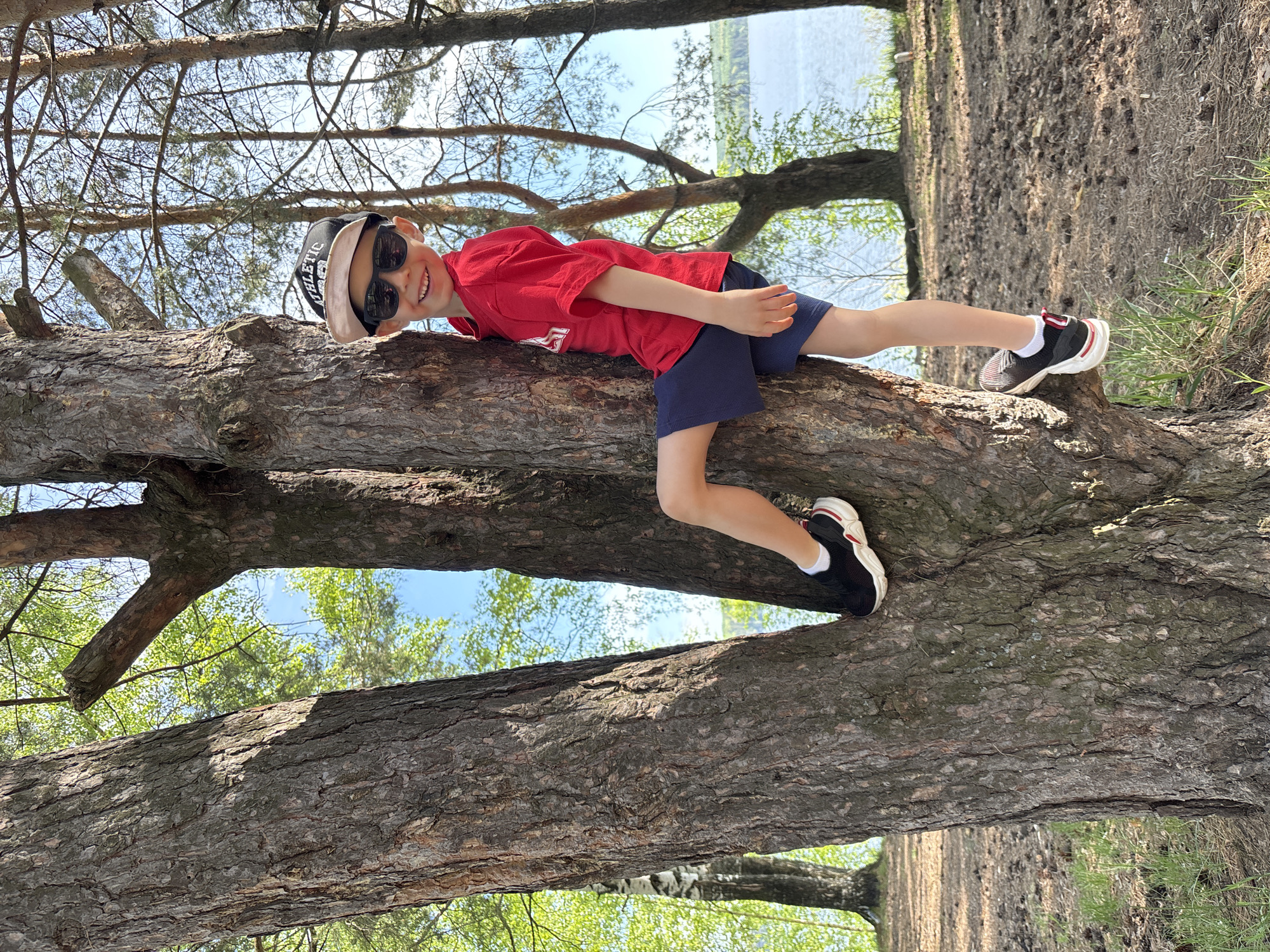 A young child, likely a boy, is lying on a thick tree branch in what appears to be a wooded area near a body of water. He is wearing a red shirt, navy blue shorts, a baseball cap, and sunglasses. His shoes are black and white sneakers. The photo was taken in Chaikovsky, Russia. The trees are tall and the branches are bare in some areas, while others have green leaves. The ground appears to be covered in pine needles and dirt. In the background, a body of water is visible through the trees. The sky is partly blue.