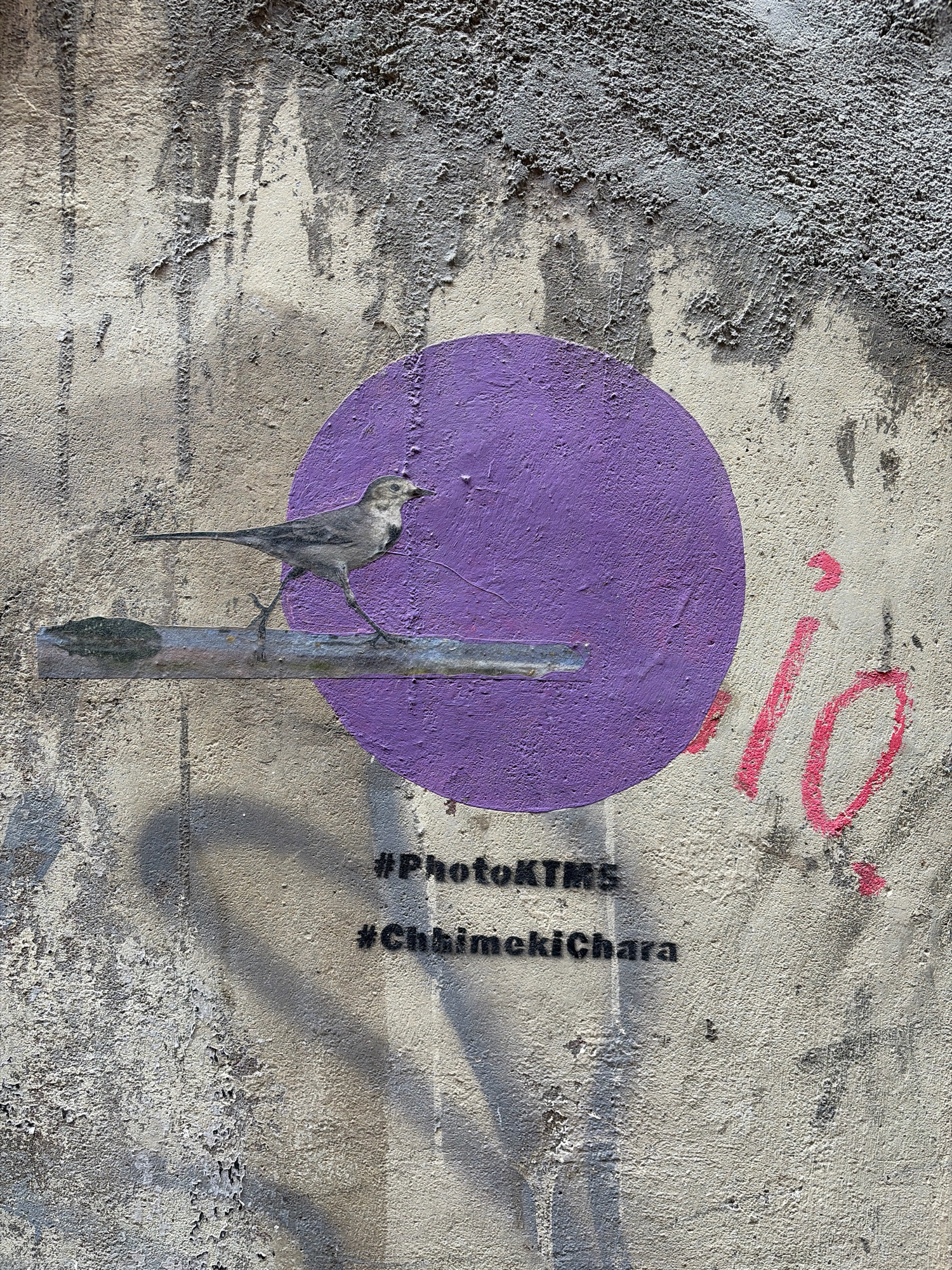 The image depicts a section of a textured concrete wall in Lalitpur, Nepal, serving as a canvas for urban art. A stencil of a bird in mid-stride is affixed to a horizontal metal bar, which itself is attached to the wall. To the right of the bird, a large, solid purple circle has been painted. Further to the right, pink graffiti spelling "io" is visible. Below the bird and the purple circle, two hashtags are spray-painted in black: "#PhotoKTMS" and "#ChhimekiChara." The wall exhibits signs of wear and tear, with peeling paint and visible textures, indicative of an outdoor urban environment.