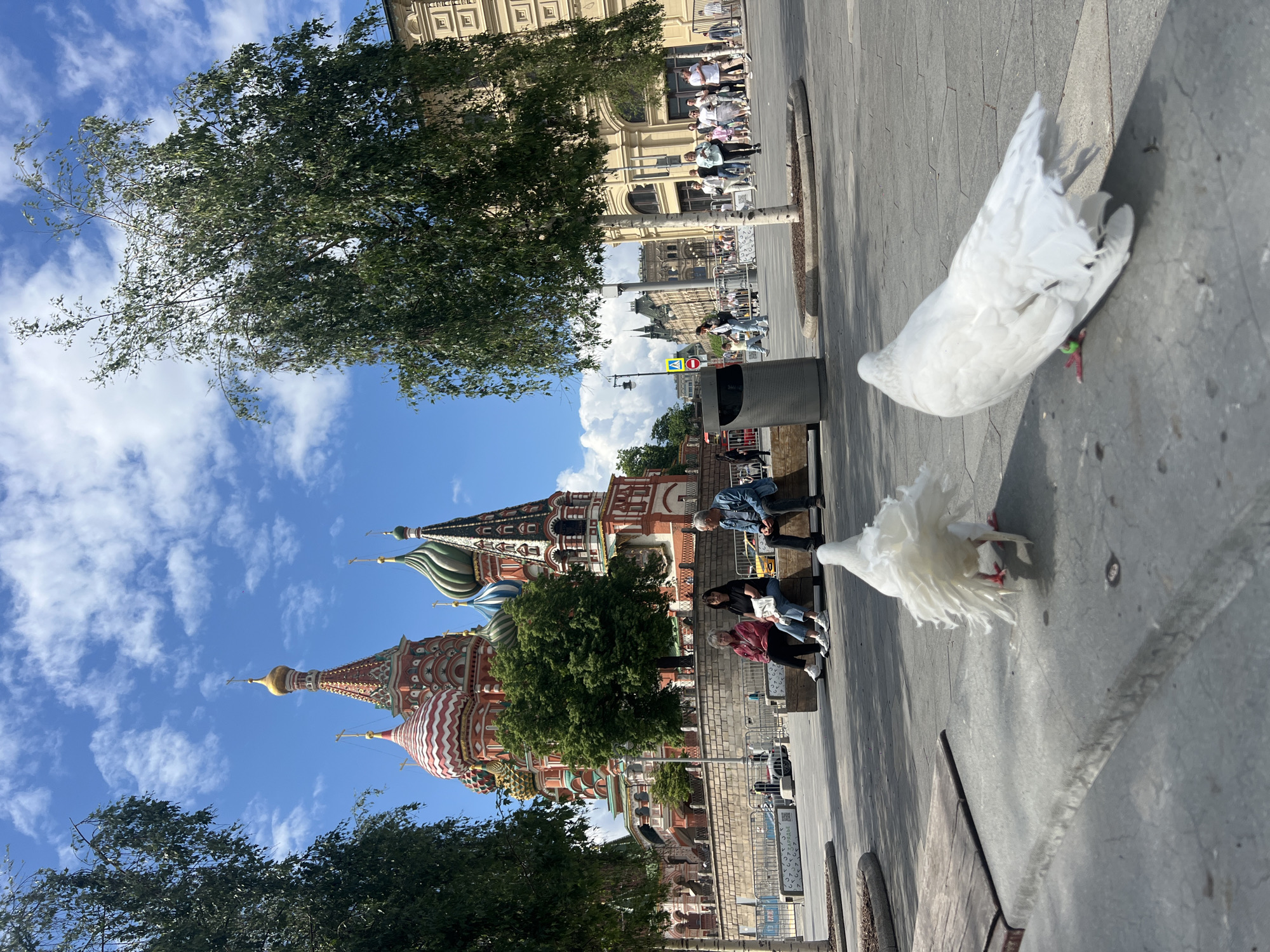 The image depicts the landmark of St. Basil's Cathedral in Moscow, Russia, under a bright blue sky dotted with clouds. A couple of white doves stand on the concrete sidewalk in the foreground. Several people are sitting on a bench, and the Cathedral towers above behind some trees.