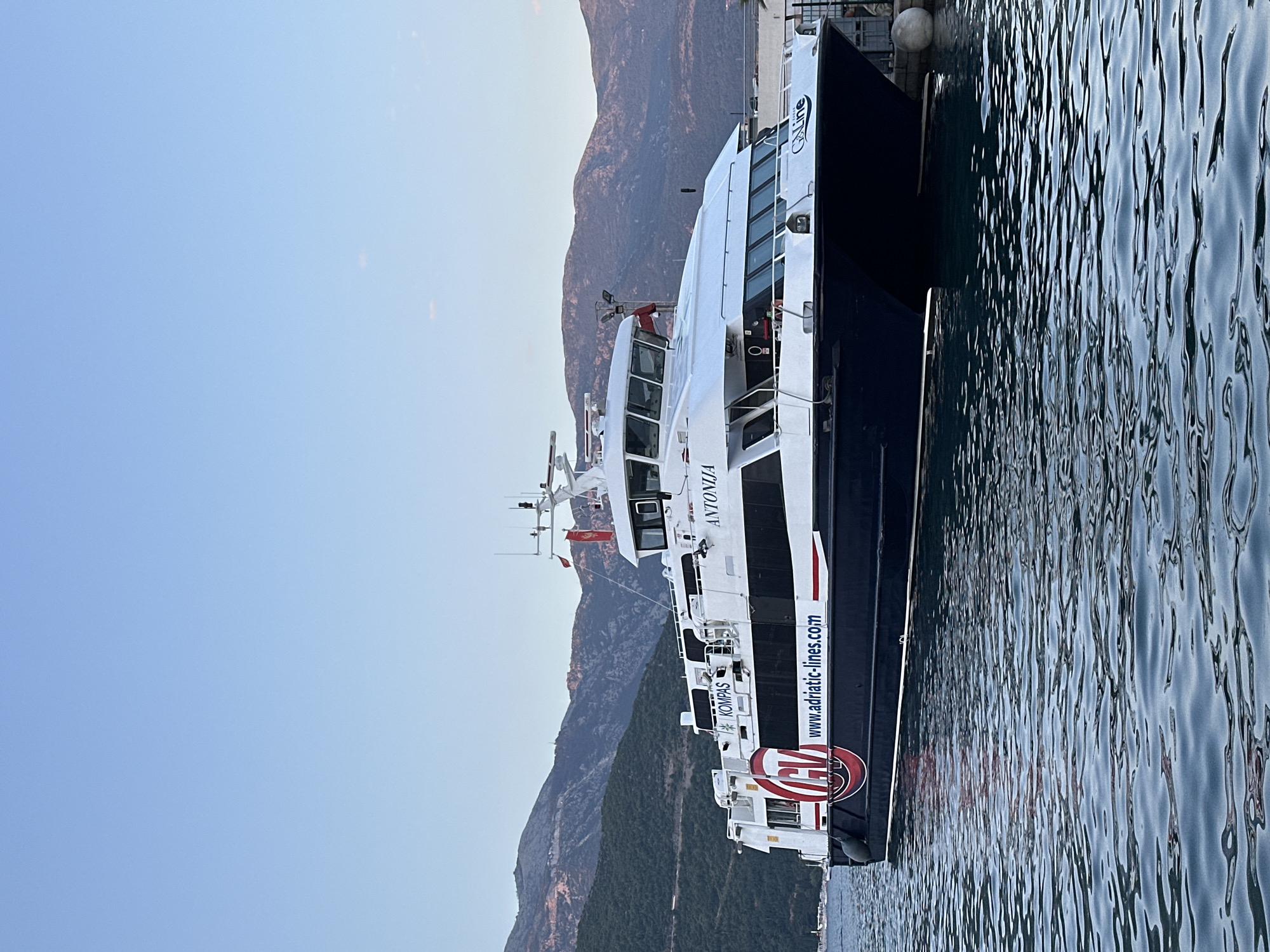 The image shows a catamaran ferry docked at a pier with mountains in the background. The ferry is white and dark blue with the name "ANTONIJA" visible on its side. The ferry also features the logos "GV" and "JADRAN LINES," and the website "www.adriatic-lines.com." The water is calm, with ripples reflecting the ferry and the sky. The sky is clear and a pale blue, indicative of early morning or late evening light. The mountains in the background are covered in green vegetation and appear rugged. The pier is made of concrete, and a large white spherical buoy is visible next to the ferry. The scene is peaceful and serene, suggesting a quiet moment before or after ferry operations. The location is identified as Budva, Montenegro. There are no people visible in the image.