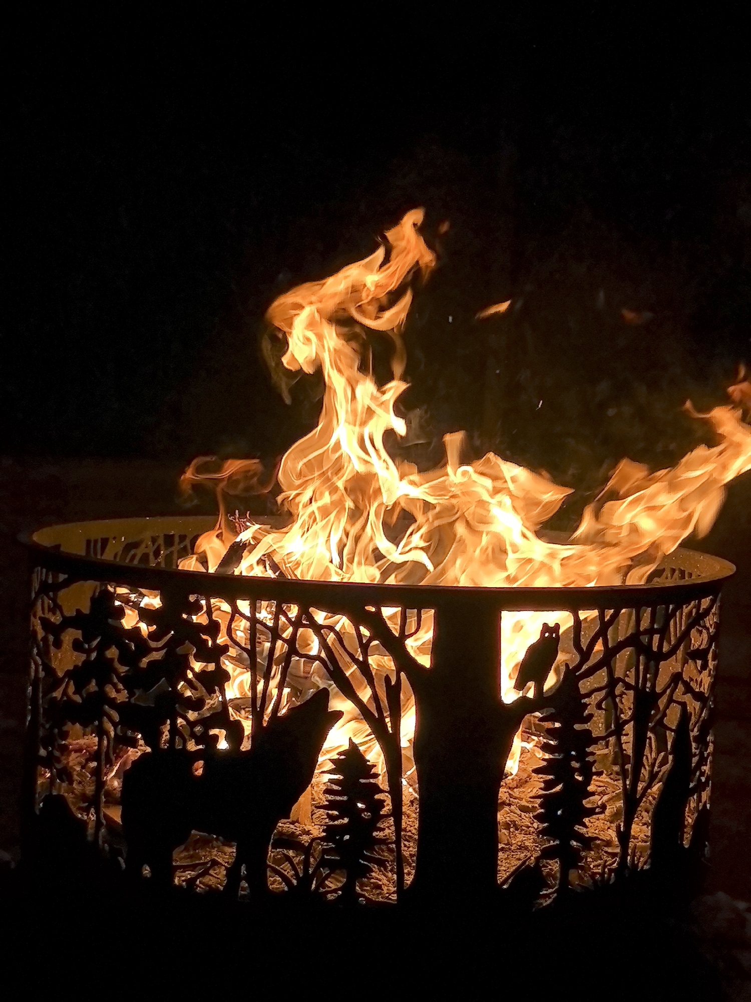 A fire burns brightly within a metal fire pit, casting an orange glow on the intricate silhouette designs cut into its exterior. The designs depict a forest scene with a wolf howling, an owl perched on a branch, and various trees. The fire pit is outdoors, with a dark background suggesting nighttime. The location is identified as Taldykorgan, Kazakhstan. There are no people visible in the image.