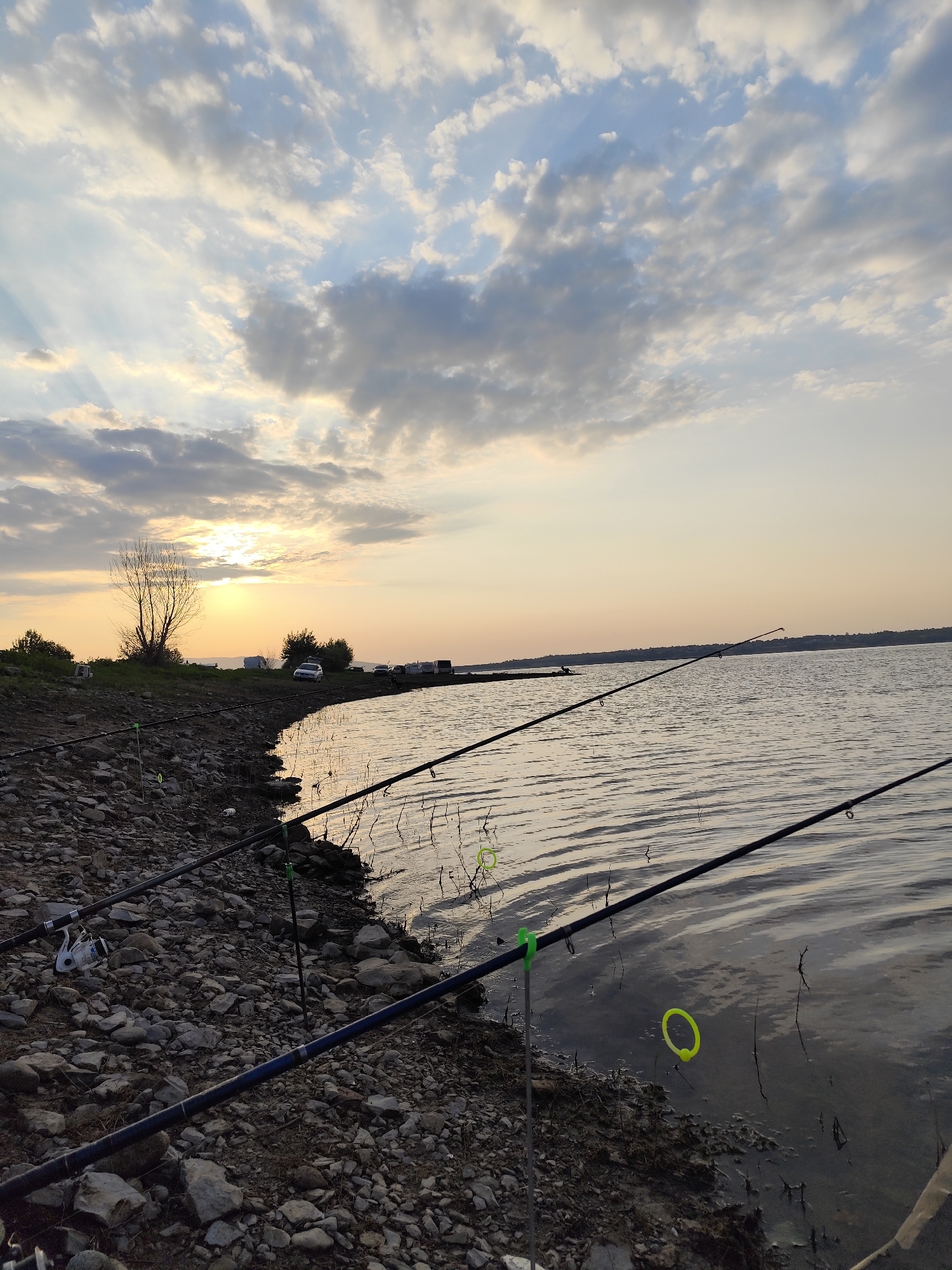 The image depicts a serene sunset scene at a lake, likely in or near Montana, Bulgaria, given the context. The foreground is dominated by a rocky shoreline with several fishing rods set up, pointing towards the water. The rods have visible fishing line and some have brightly colored green and yellow indicators. The water's surface is calm with gentle ripples reflecting the soft hues of the sky.
In the middle ground, the shoreline curves, lined with more sparse vegetation and a few parked vehicles, including what appears to be a white van or SUV and possibly a caravan. A solitary, leafless tree stands on the bank.
The background features a wide expanse of water meeting a distant horizon. The sky is a blend of soft blues and oranges, with scattered clouds catching the sunlight. Beams of light are breaking through the clouds, creating a dramatic effect as the sun begins to set. The overall atmosphere is peaceful and suggestive of a tranquil fishing excursion.