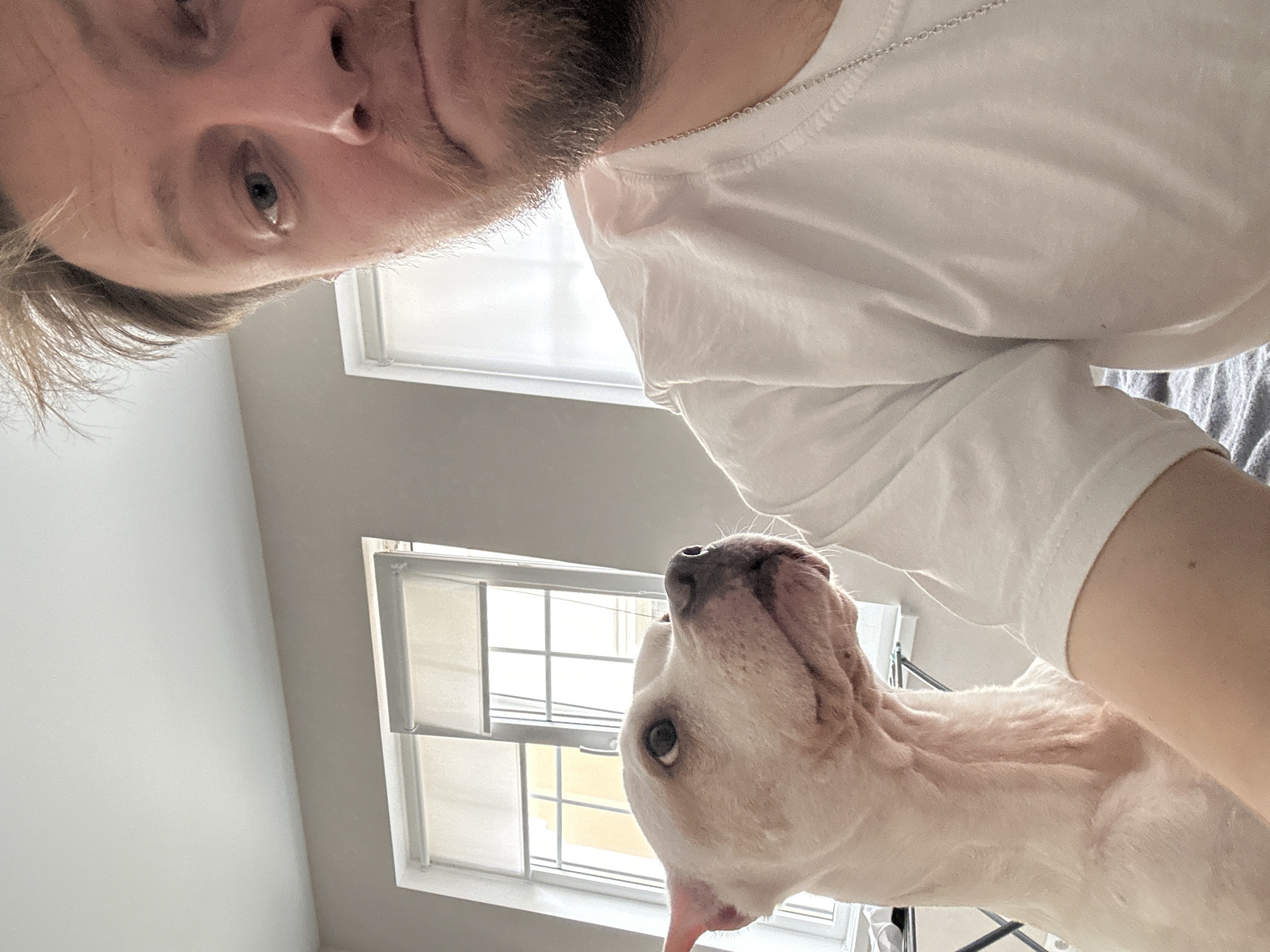 A selfie taken from a high angle shows a fair-skinned person with light brown hair, a short beard, and blue eyes. They are wearing a white t-shirt and a silver chain. Below them is a white pit bull-type dog looking up. Two windows with white frames and blinds are visible in the background. The wall is a light gray color. The location in the city of Sochi, Russia cannot be determined from the given image.