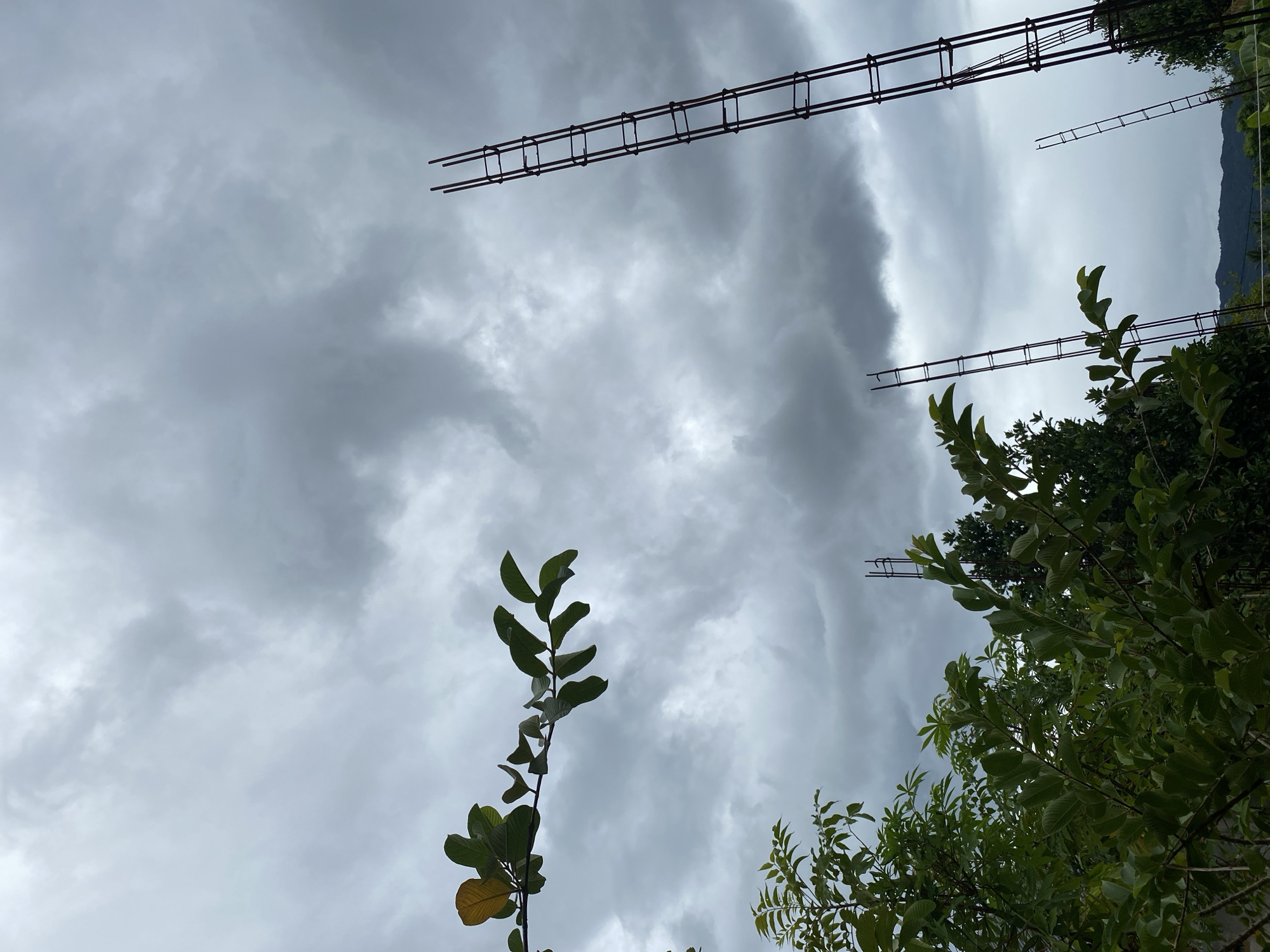 In a low-angle shot, a dark, overcast sky dominates the frame, filled with thick, gray clouds. In the foreground, a branch with lush green leaves extends from the left side of the image, with a few leaves showing a yellowish hue. Below this, a dense canopy of green foliage belonging to trees occupies the bottom left of the picture.
Several vertical rebar structures, likely part of a construction project, pierce the sky. The most prominent rebar is on the right, a tall, slender structure made of crisscrossed metal rods. To the left of this, and further back, are two other rebar structures of similar design, though shorter. In the far distance, a line of dark, rolling hills is visible beneath the heavy clouds. The overall impression is one of an outdoor, possibly rural or developing urban setting, under a moody, cloud-laden sky.