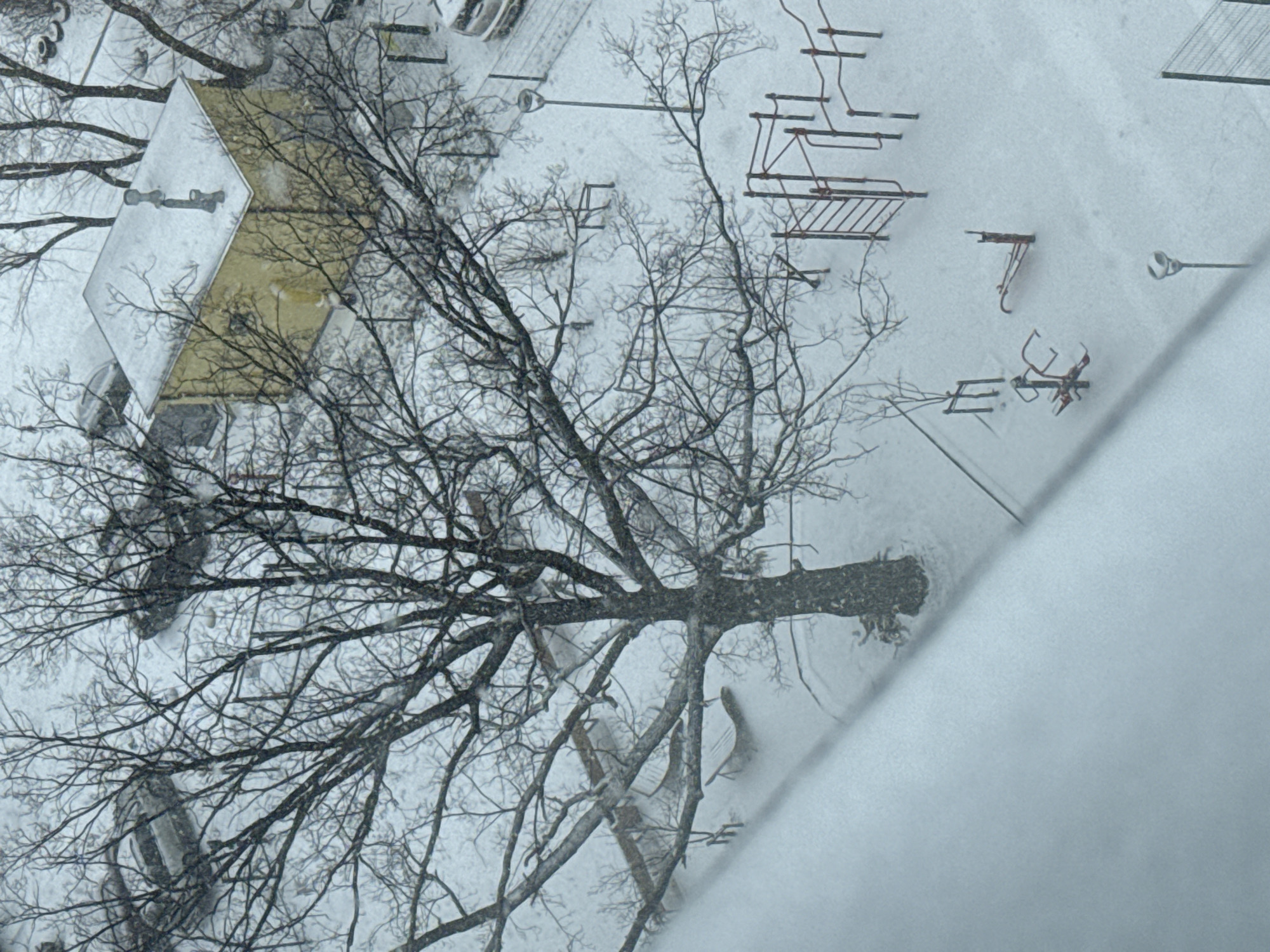 The scene is a snowy cityscape, likely in Yekaterinburg, Russia, given the context. A large, bare tree dominates the foreground, its branches covered in snow. In the background, partially obscured by the tree, is a playground with snow-covered equipment. A building with a yellow roof can be seen to the left of the tree. Several cars are parked nearby, also covered in snow. The overall atmosphere suggests a cold, winter day. The view is from an elevated position, possibly from a window. Snowfall is ongoing.