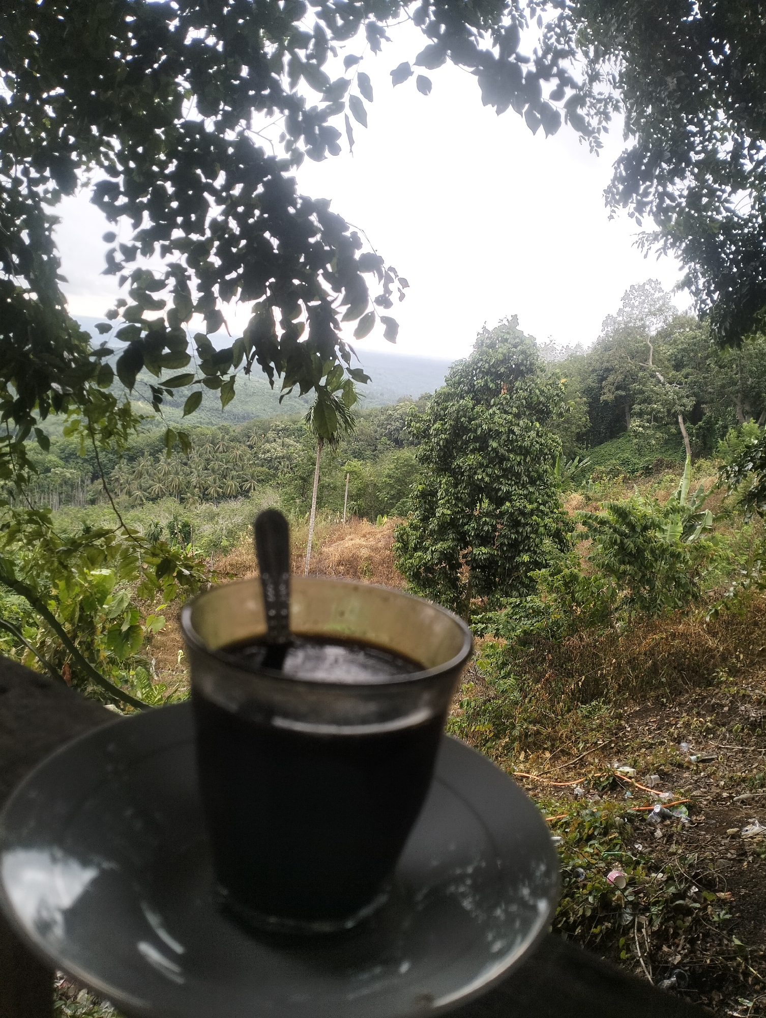 In Teupinreusep, Indonesia, a glass of dark liquid, likely coffee, rests on a saucer. A spoon is submerged in the liquid. The glass and saucer are positioned on a wooden surface, possibly a railing or table. Beyond this foreground, a lush, green landscape unfolds. Dense foliage, including trees and smaller plants, covers rolling hills. In the distance, a hazy mountain range is visible under an overcast sky. The scene appears to be an outdoor vantage point overlooking a rural or natural area.