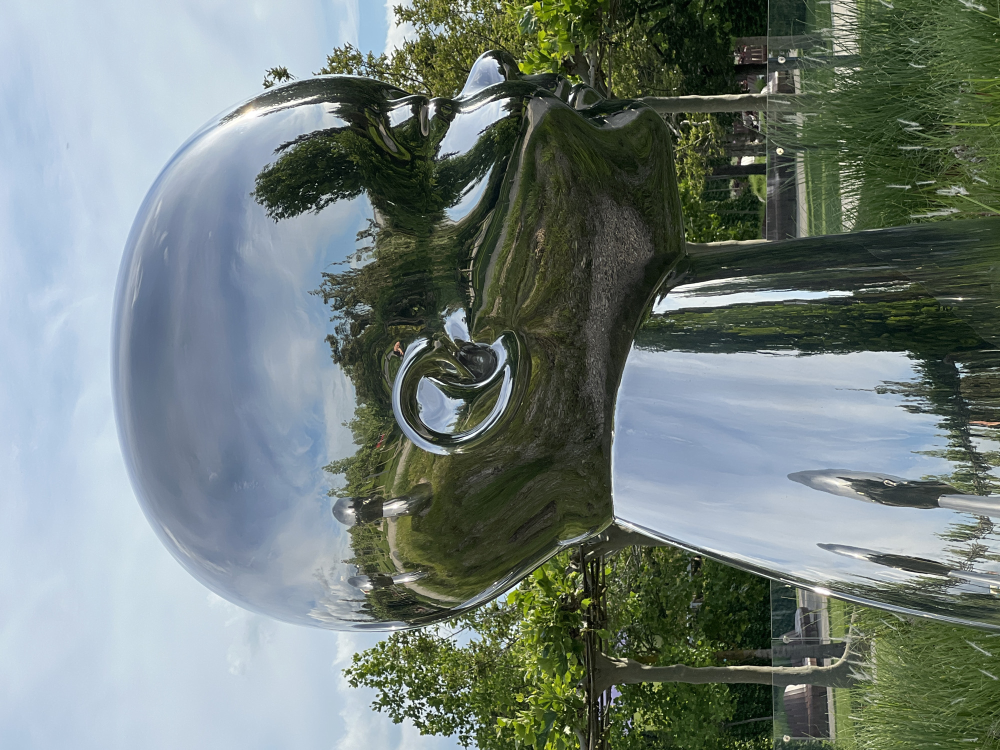 A close-up, low-angle shot shows a large, chrome-finish sculpture of a human head, likely a public artwork. The head is oriented to the left, reflecting the surrounding environment. The reflection includes trees, sky, and what appears to be a park or garden area. In the bottom half of the image, there is green foliage and grass with some white, feathery plants. The sky in the background is partly cloudy. The details suggest it might be a contemporary sculpture located in a park in the city of Krasnodar, Russia.
