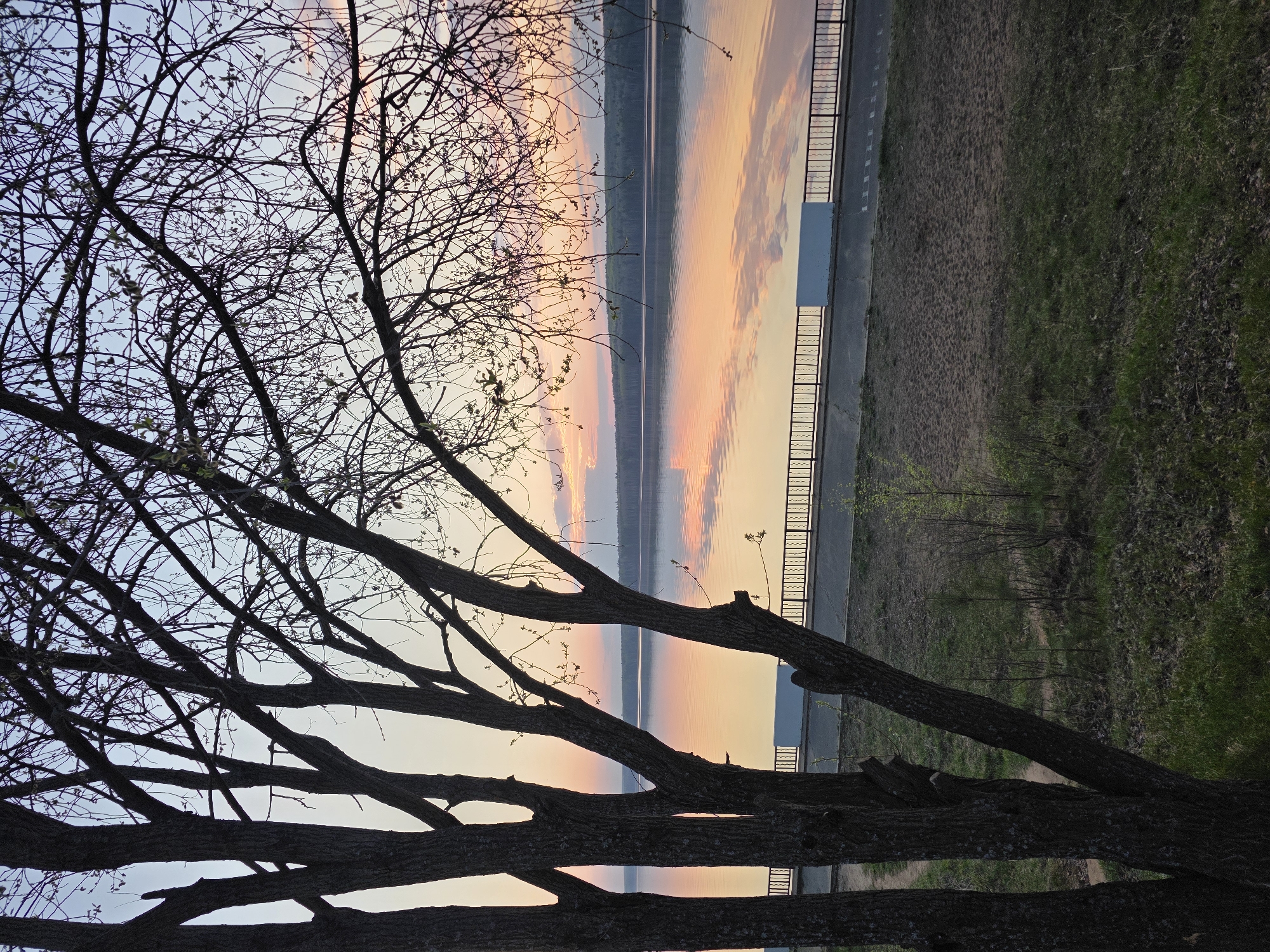 The image shows a sunset over water, viewed through the branches of a tree. The location is likely the city of Chaikovsky, Russia, based on the presence of a specific type of waterfront railing visible in the image, which is consistent with architecture found in that area.
The scene includes the silhouette of bare tree branches in the foreground against a sky transitioning from light blue to orange and pink hues reflecting in the body of water. Adjacent to the water is a paved area with metal railings and a strip of land with grass and vegetation. There are no people visible in the scene. The primary objects in the image are the tree, water, sky, and waterfront infrastructure. The sunset casts a warm light across the scene.