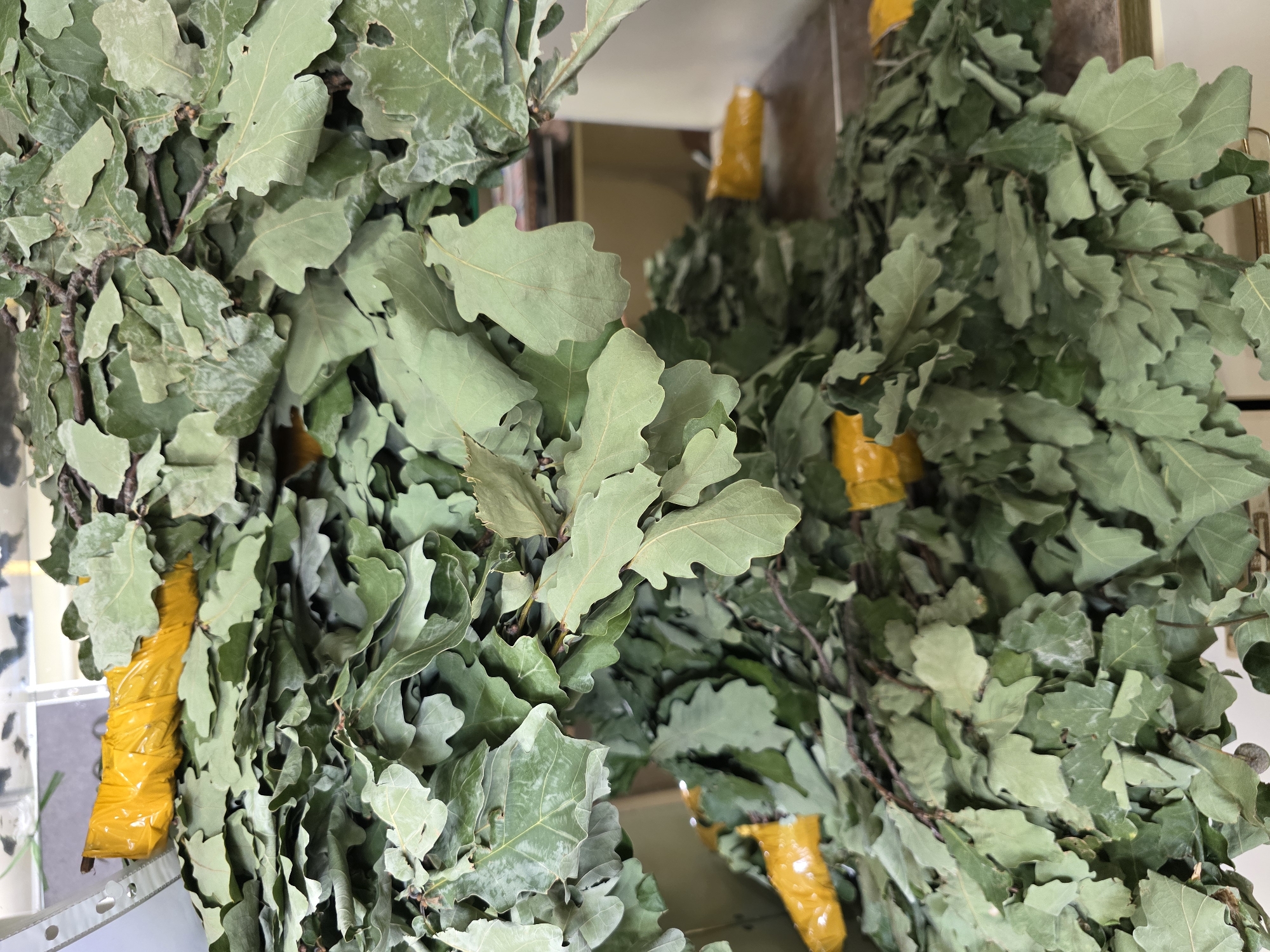 A close-up, overhead shot shows a pile of dried oak leaf brooms, commonly known as veniki, for use in saunas. The veniki are bound with yellow tape, and their green leaves are dense and layered. In the background, a shelf with various items can be seen. The scene is indoors and appears to be a storage area within the Qarağandı city administration building in Kazakhstan.