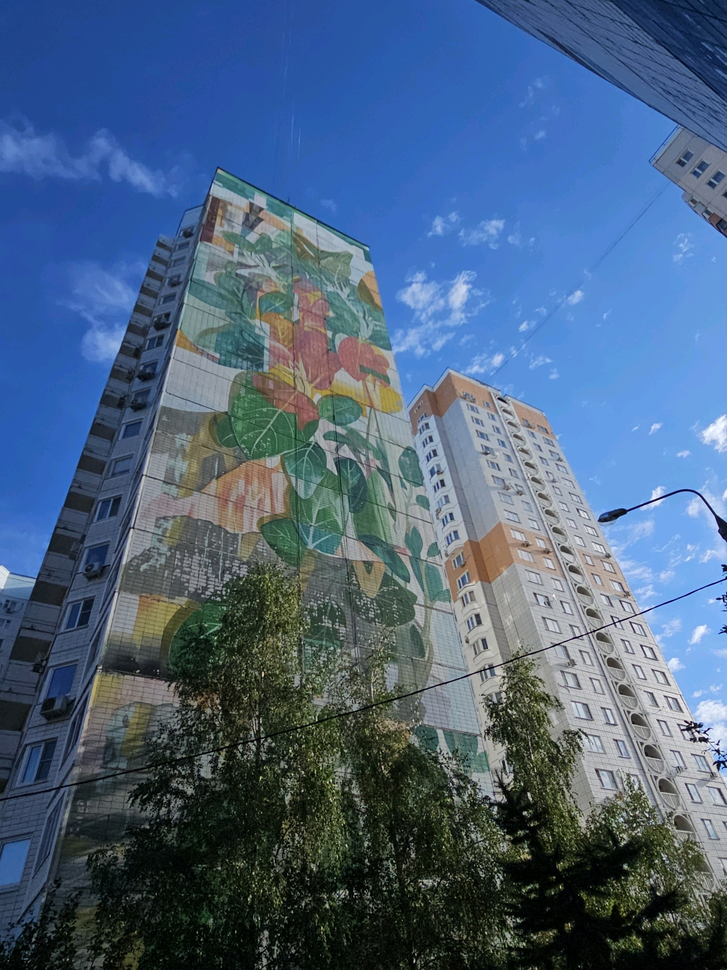 A wide-angle, low-angle shot captures two tall apartment buildings against a bright blue sky with scattered white clouds. The building on the left features a large, colorful mural depicting botanical elements, primarily green leaves and red and yellow flowers, covering a significant portion of its facade. This building is predominantly white and gray with numerous windows and visible air conditioning units. To its right, another apartment building stands, lighter in color with orange accents near the top. This building also has many windows and arched balconies on several floors. In the foreground, several trees with lush green foliage partially obscure the lower sections of the buildings. A black street lamp with a curved arm extends into the frame from the right, and thin black wires run across the sky. The scene appears to be in an urban residential area, likely Odintsovo, Russia, based on the context provided. There are no people visible in the image.