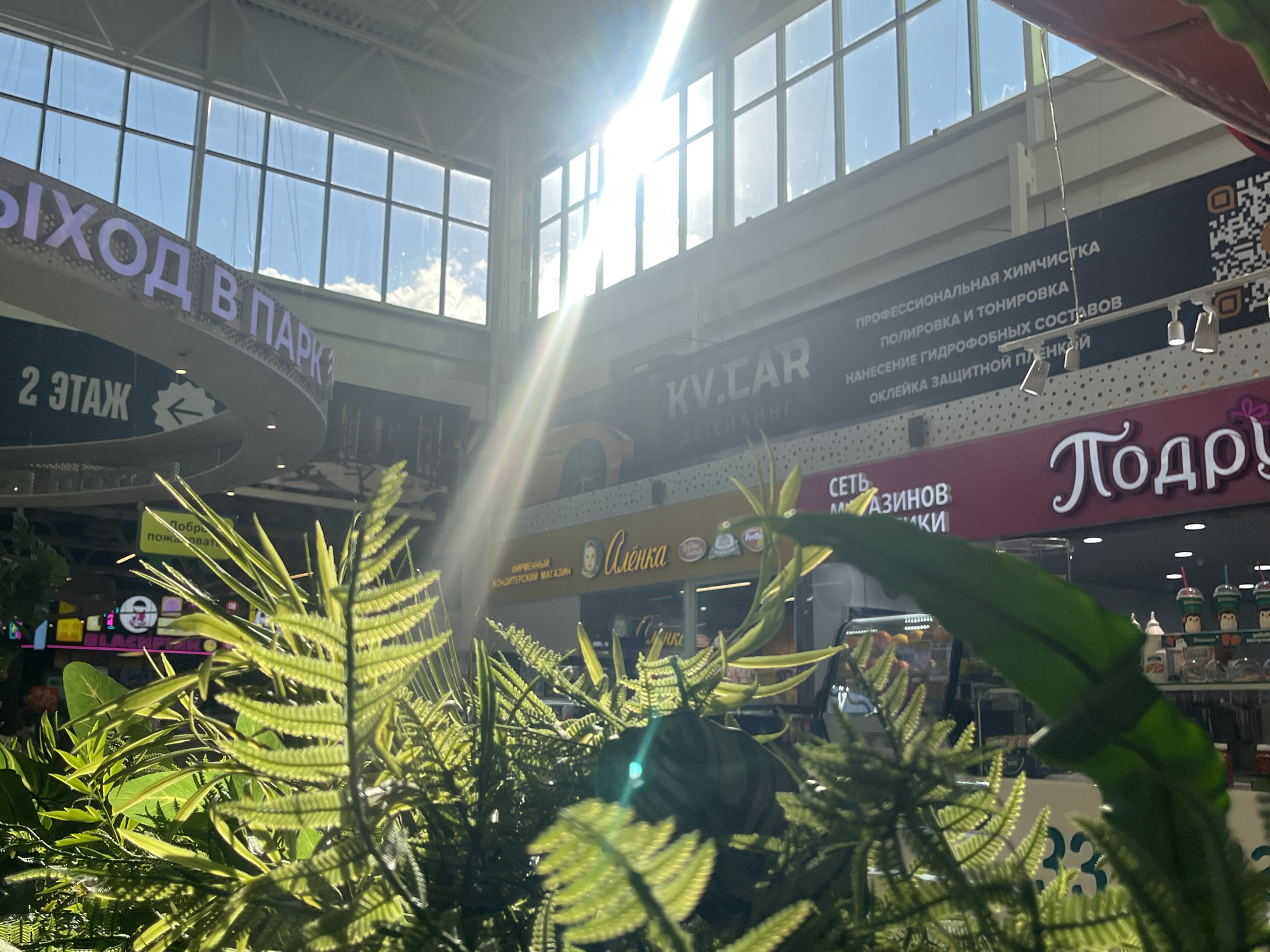 The image captures a sunlit interior of what appears to be a shopping mall or a large indoor complex. The view is partially obscured by lush green plants in the foreground, creating a layered effect. Large windows or skylights dominate the upper part of the image, allowing bright sunlight to stream in, creating lens flares and casting strong highlights.
Visible text indicates several establishments and directions. A prominent sign reads "ВЫХОД В ПАРК" (Exit to the Park), suggesting an access point to an outdoor area. Another sign points to "2 ЭТАЖ" (2nd Floor). Further signs advertise "KV.CAR ДЕТЕЙЛИНГ" (KV.CAR Detailing) offering "ПРОФЕССИОНАЛЬНАЯ ХИМЧИСТКА, ПОЛИРОВКА И ТОНИРОВКА, НАНЕСЕНИЕ ГИДРОФОБНЫХ СОСТАВОВ, ОКЛЕЙКА ЗАЩИТНОЙ ПЛЕНКОЙ" (Professional dry cleaning, polishing and tinting, application of hydrophobic coatings, protective film application). Another store is identified as "Алёнка" (Alenka), described as a "ФИРМЕННЫЙ КОНДИТЕРСКИЙ МАГАЗИН" (Specialty Confectionery Store). A further sign, partly visible, reads "Подру" (Podru), possibly part of a larger name. Amidst the greenery, a sign with "Добро пожаловать" (Welcome) is also visible.
The presence of a yellow sports car, likely a model or advertisement, is seen above the "KV.CAR" sign. The overall atmosphere is bright and cheerful, with the strong sunlight suggesting it is daytime. The setting appears to be modern, with clean lines and well-lit spaces. The plants add a touch of natural beauty to the indoor environment. The location context of Yekaterinburg, Russia, aligns with the Cyrillic text visible in the image. No people are clearly visible in the frame.
