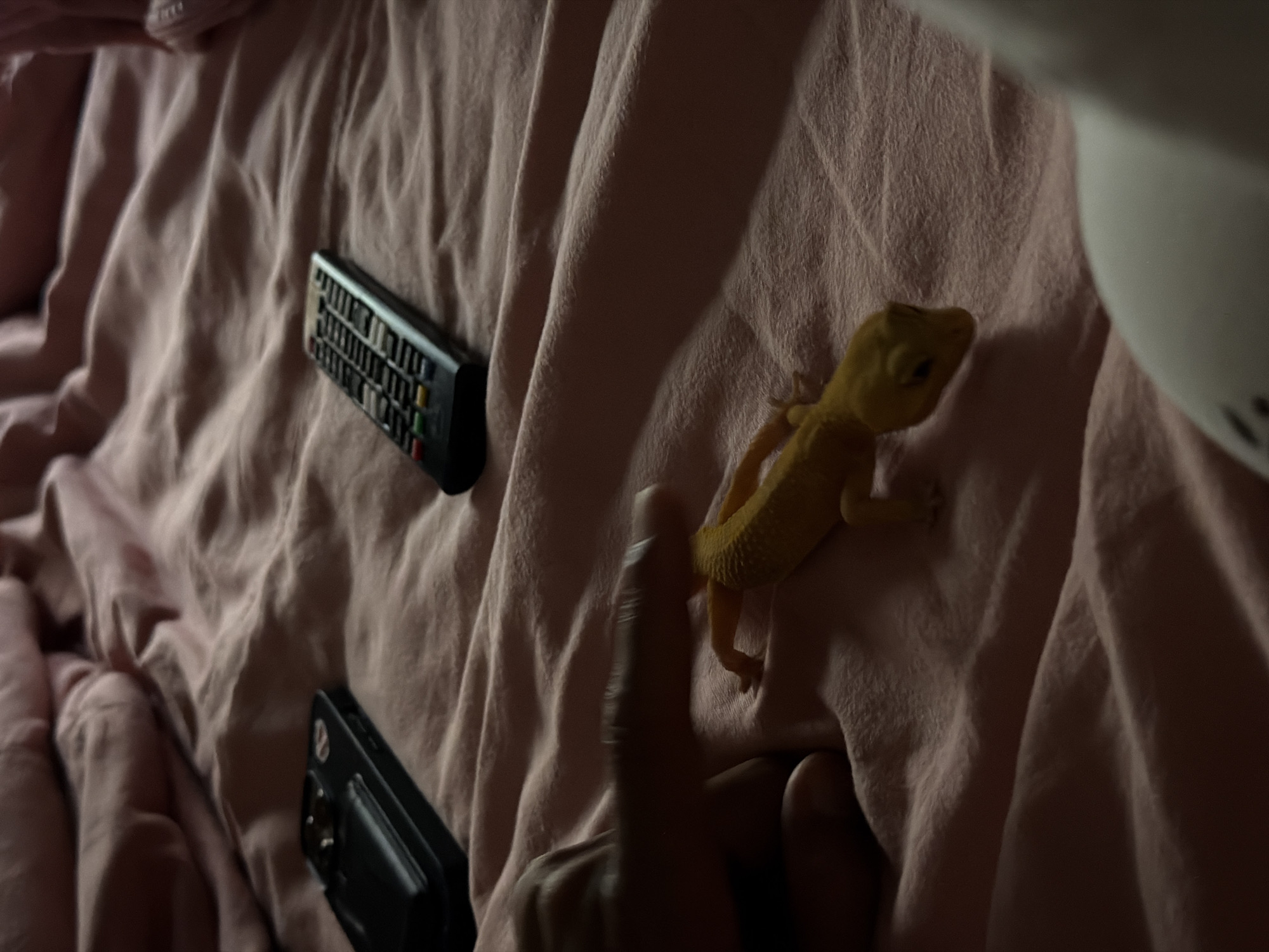 An overhead shot depicts a small, bright yellow gecko resting on a rumpled, light pink fabric, likely a bedsheet or blanket. The gecko is positioned towards the upper right of the frame, facing left.
In the mid-left, a black remote control with numerous small buttons of various colors (red, green, yellow, blue, white, black) lies on the fabric. Below the remote, towards the bottom left, a black smartphone or similar electronic device is partially visible.
A human hand, with an index finger extended, is seen in the lower central part of the image, appearing to interact with or point towards the gecko. The lighting is dim and soft, suggesting an indoor setting during the evening or night. A white, curved object, possibly part of a lamp or fixture, is visible in the upper right corner, casting a shadow.
The overall scene suggests a quiet, domestic moment in a bedroom or living space. No specific text is clearly legible on the remote control or smartphone, only button colors and general shapes. The activity appears to be an observation or gentle interaction with the pet gecko. The location context provided is Mengwi, Indonesia, although no visual cues in the image itself directly indicate this specific location.