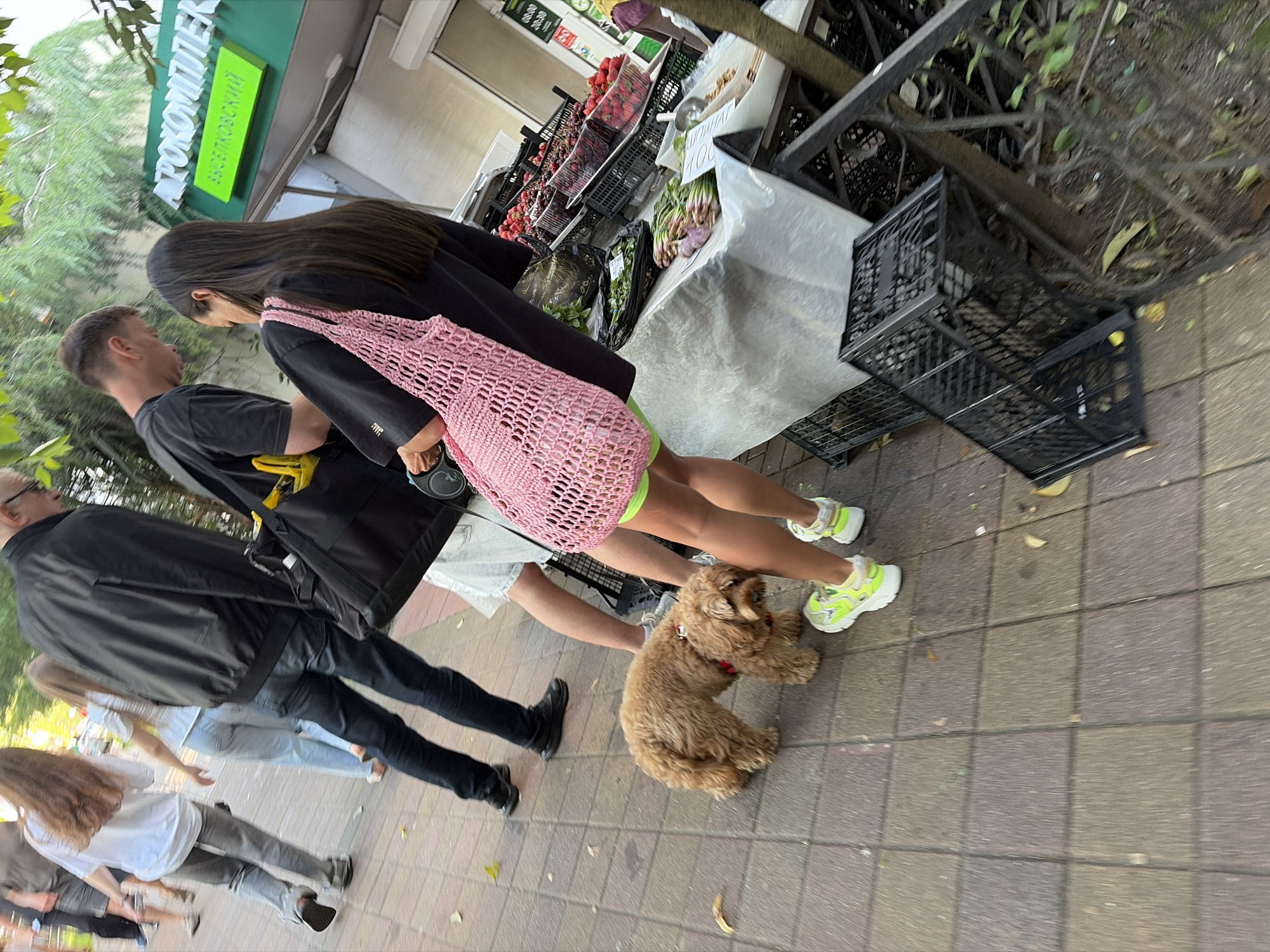 The image captures an outdoor market scene, identified by Cyrillic signage as an "Agrocomplex Altsetovsky" market, likely located in Sochi, Russia. In the foreground, a small, fluffy, light brown dog wearing a red harness is visible on a leash, actively sniffing the multi-toned paved sidewalk. To the right of the dog, a woman with long dark hair, dressed in a black t-shirt, neon green shorts, and neon yellow and white sneakers, stands facing a market stall. She carries a pink crocheted market bag on her left shoulder.
Adjacent to her, a man with short dark hair, wearing a dark t-shirt and carrying a dark shoulder bag with yellow accents, also faces the market stall. The stall is covered by a white tarp, displaying various fresh produce in black crates, including red strawberries and cherries, as well as green leafy vegetables and what appears to be young garlic. A small white sign with "100" (likely a price) is visible on the table.
In the mid-ground and background, several individuals are walking along the paved area. On the left, a man in a black bomber jacket, dark jeans, and dark shoes, with a partially visible grey beard and glasses, walks away from the camera, carrying a black shoulder bag with yellow elements. Behind him, a woman with long brown hair, wearing a white t-shirt and grey jeans, also walks away. The market entrance features a green sign with white Cyrillic text, reading "АГРОКОМПЛЕКС" (Agrocomplex) and "АЛЬЦЕТОВСКИЙ" (Altsetovsky). Another smaller sign on the right side of the stall displays operational hours, showing "08:00 - 20:30". Overhead and in the distant background, trees and foliage are visible, indicating an open-air setting. Black plastic crates are present on the ground near the market stall and a metal fence. The scene is illuminated by natural daylight.