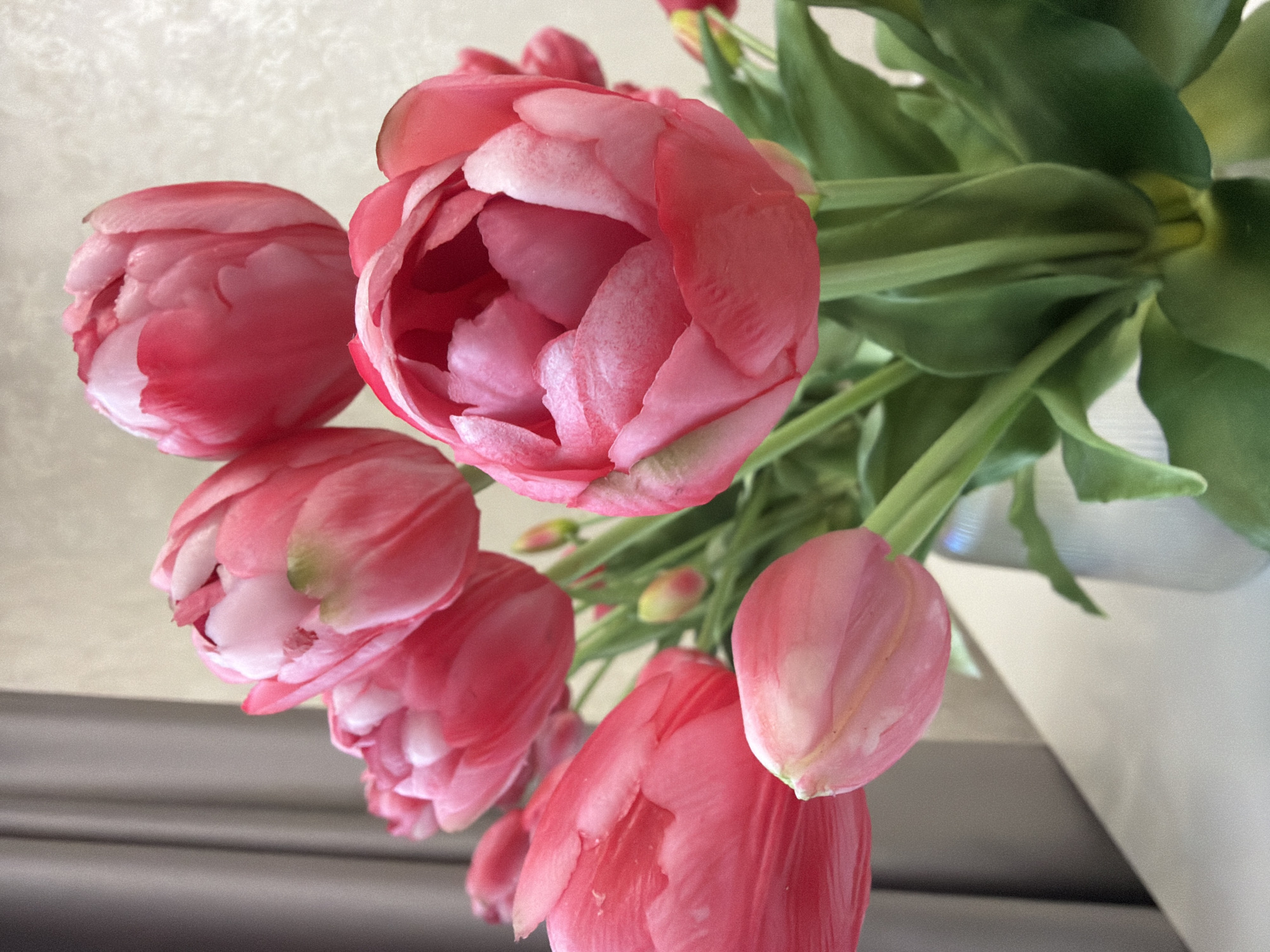A close-up, eye-level shot shows a bouquet of pink tulips in a vase on a white surface. The tulips are a vibrant pink with some lighter pink and white accents. The petals are full and layered, with some appearing to be slightly opened. Green stems and leaves are visible beneath the flowers. In the background, a textured light-colored wall is on the right, and a dark gray curtain is on the left. The lighting is soft, highlighting the delicate textures of the tulip petals. The image is focused on the flowers, with the background slightly blurred. The scene appears to be indoors, likely in a domestic setting.