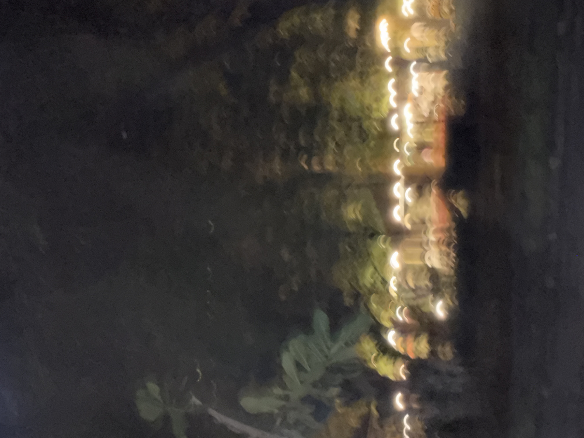 The image presents a blurry night scene, appearing to be rotated 90 degrees counter-clockwise from its likely intended orientation. The visual elements are dominated by out-of-focus lights and indistinct foliage against a dark backdrop.
Along the right edge of the frame, a dense vertical cluster of bright, warm-toned lights is visible. These lights are heavily blurred into distinct bokeh shapes, mostly appearing as crescent moons and soft circles in shades of yellow and warm white. Their arrangement suggests decorative string lights.
To the left of this luminous strip, and filling the central and lower-left areas, are dark, blurry green and brownish shapes consistent with plant foliage. A slightly more defined, though still out-of-focus, leafy plant can be discerned in the lower-central part of the image.
The majority of the left side of the frame is very dark and indistinct, providing a deep, blurred background. A very faint, small light spot is barely visible in the upper-left quadrant.
The scene depicts an outdoor setting at night, likely a garden or patio area, illuminated by artificial lights nestled among plant life. The extensive use of bokeh creates a dreamy and atmospheric mood. No specific activity or identifiable people are present. There is no visible text. The time of day is clearly night due to the overall darkness and the prominent artificial lighting. The provided context suggests the location is Kuta Selatan, Indonesia.