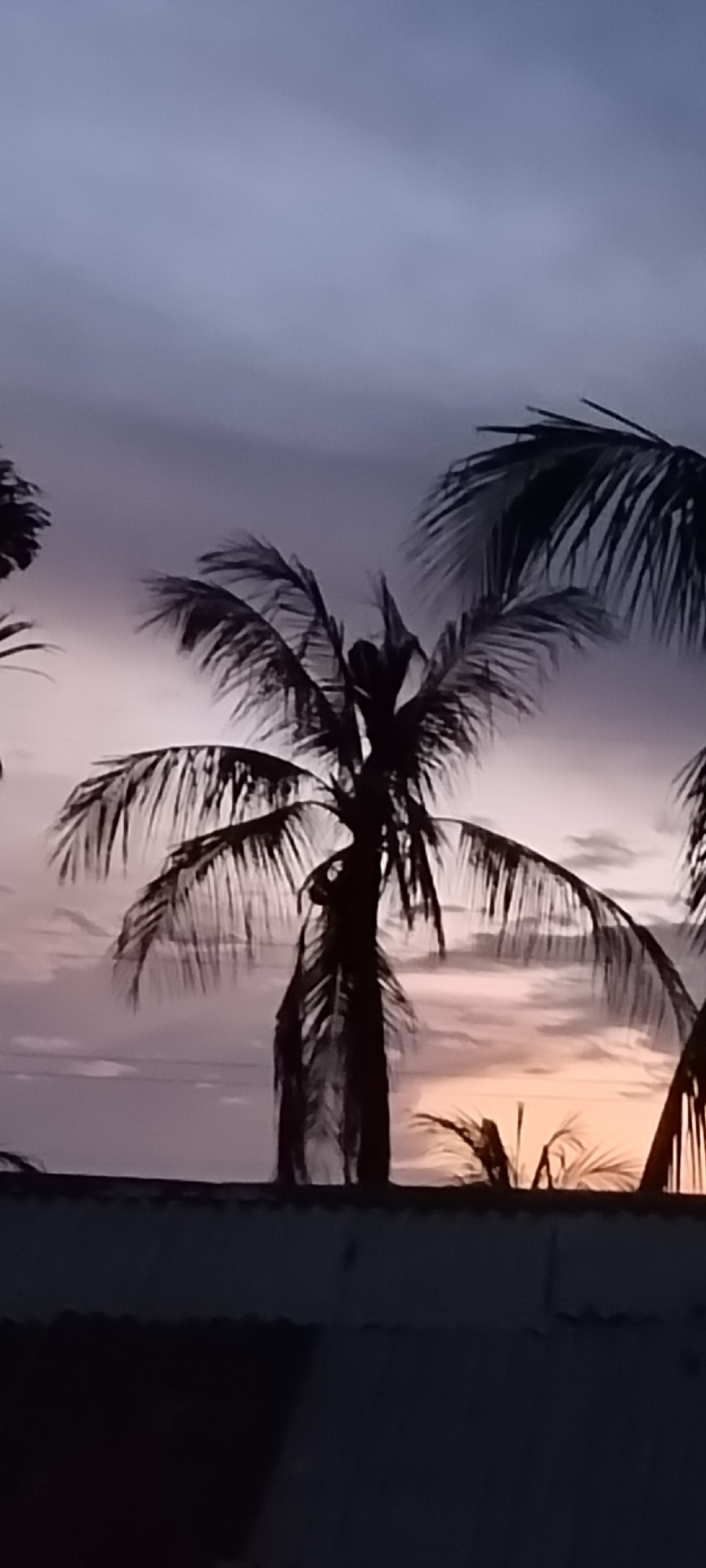 The image shows a silhouette of palm trees against a dusky sky. The sky is a gradient of purple and pink, with some wispy clouds. The palm trees are dark and appear to be swaying in the wind. There is a dark, horizontal line at the bottom of the image, which could be a rooftop or a fence. The scene appears to be a tropical setting, possibly Lhokseumawe, Indonesia, given the presence of palm trees and the color of the sky, which can be typical of sunsets in that region.