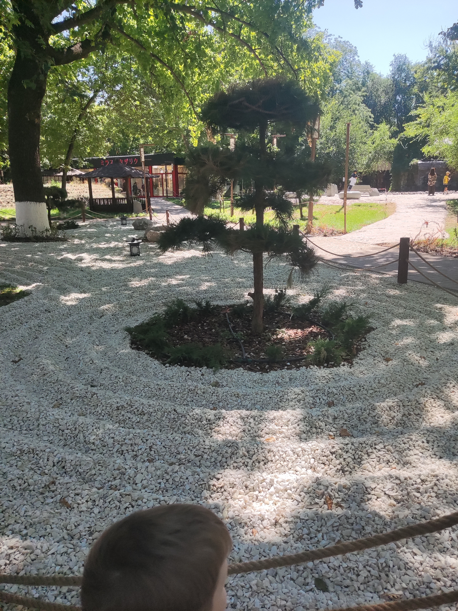 The image shows a Japanese garden in Shymkent, Kazakhstan. The garden features a zen garden with white gravel raked into patterns, a central bonsai tree, and several traditional Japanese structures in the background. A pathway made of light-colored stones curves through the scene. Lush green trees with dappled sunlight create a peaceful atmosphere. In the foreground, a portion of a child's head is visible, suggesting they are observing the garden.