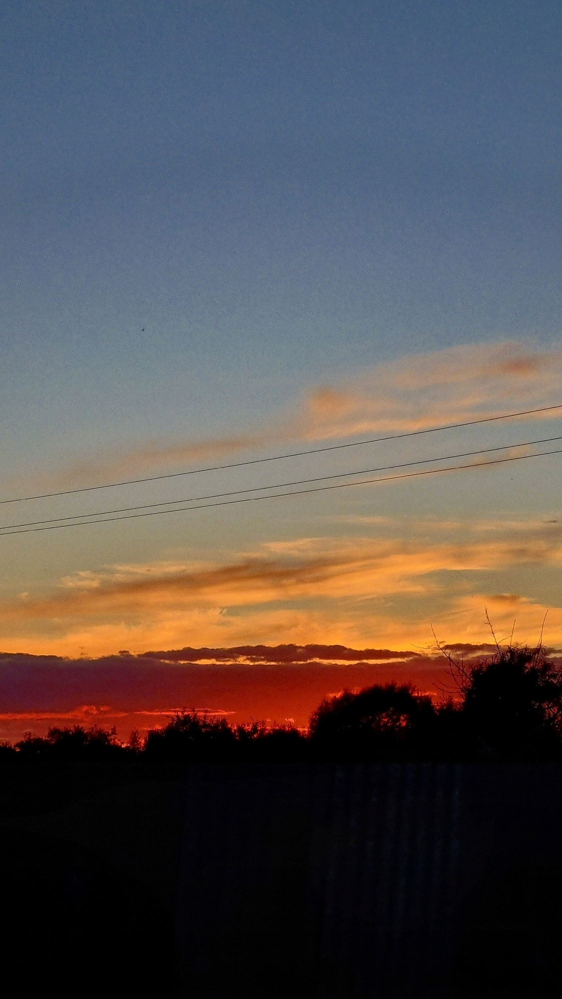 This image depicts a sunset over the city of Vysokoe, Russia. The sky transitions from a clear blue at the top to vibrant shades of orange and red near the horizon, with streaks of clouds catching the fading sunlight. Three power lines are visible horizontally across the middle of the frame. The lower portion of the image is dominated by the dark silhouette of trees and vegetation, with a dark, textured structure possibly a fence or wall, occupying the bottom edge. There are no people or animals visible in the frame.